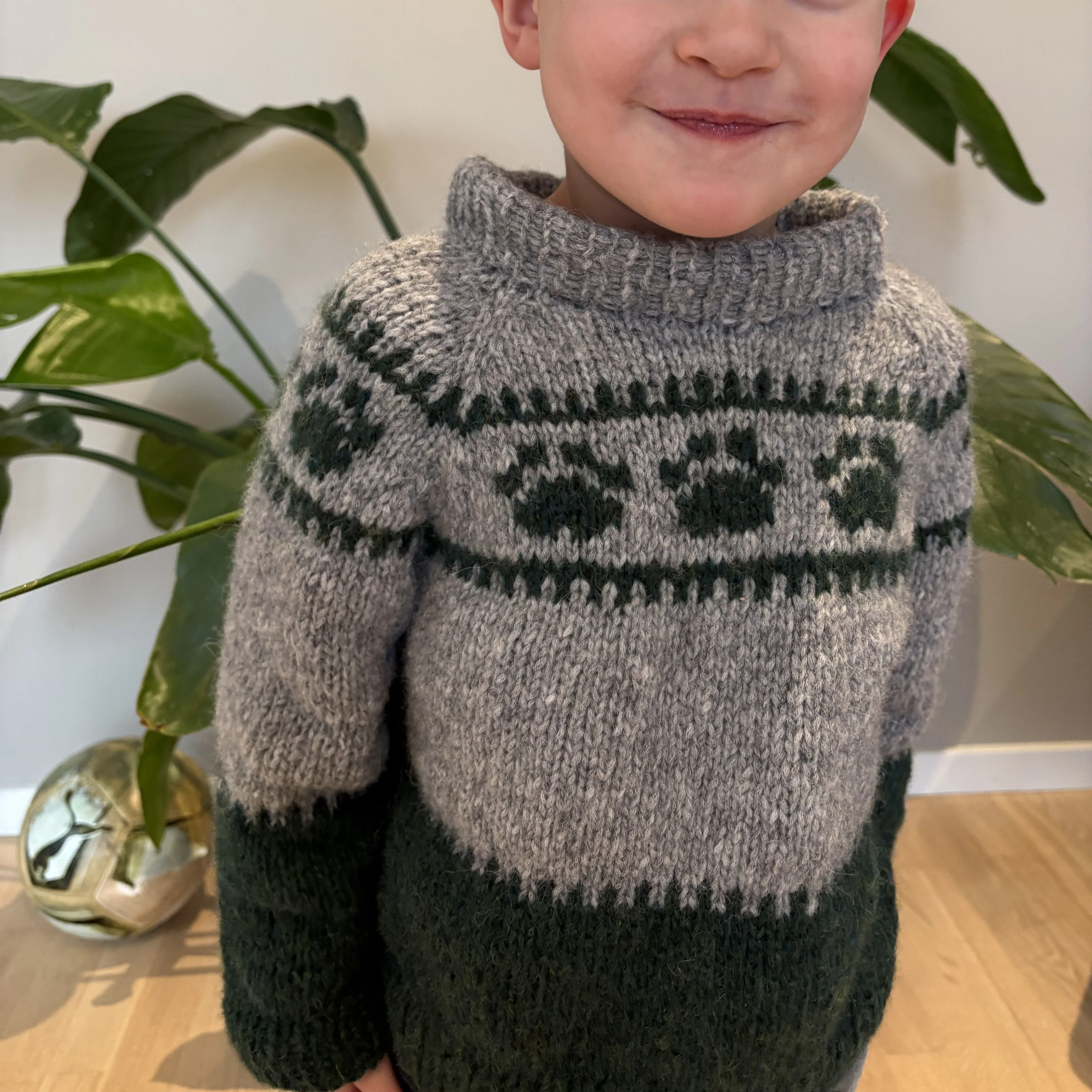 Wild Paws - Childrenâs Sweater