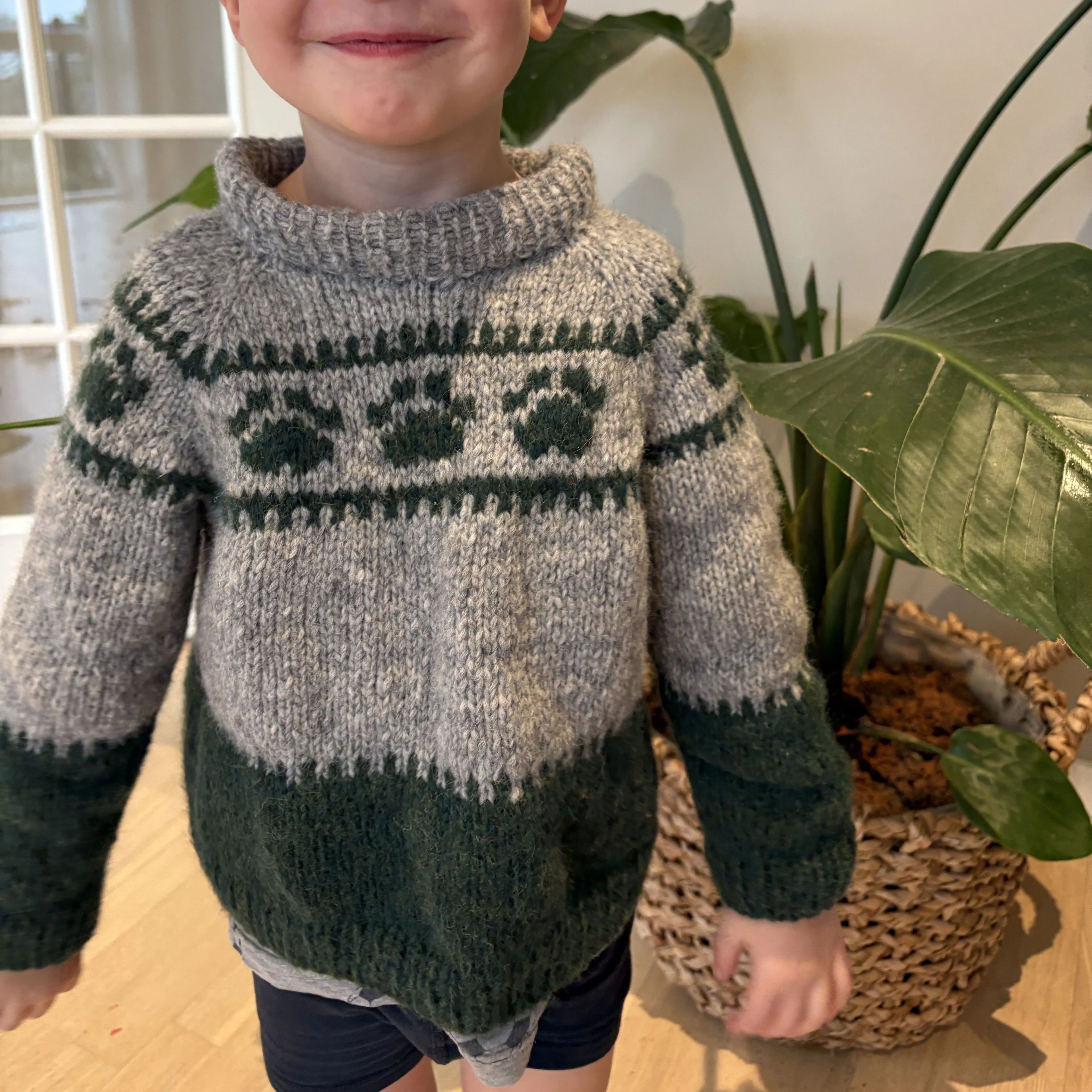 13347-wild-paws-children-s-sweater-1.webp