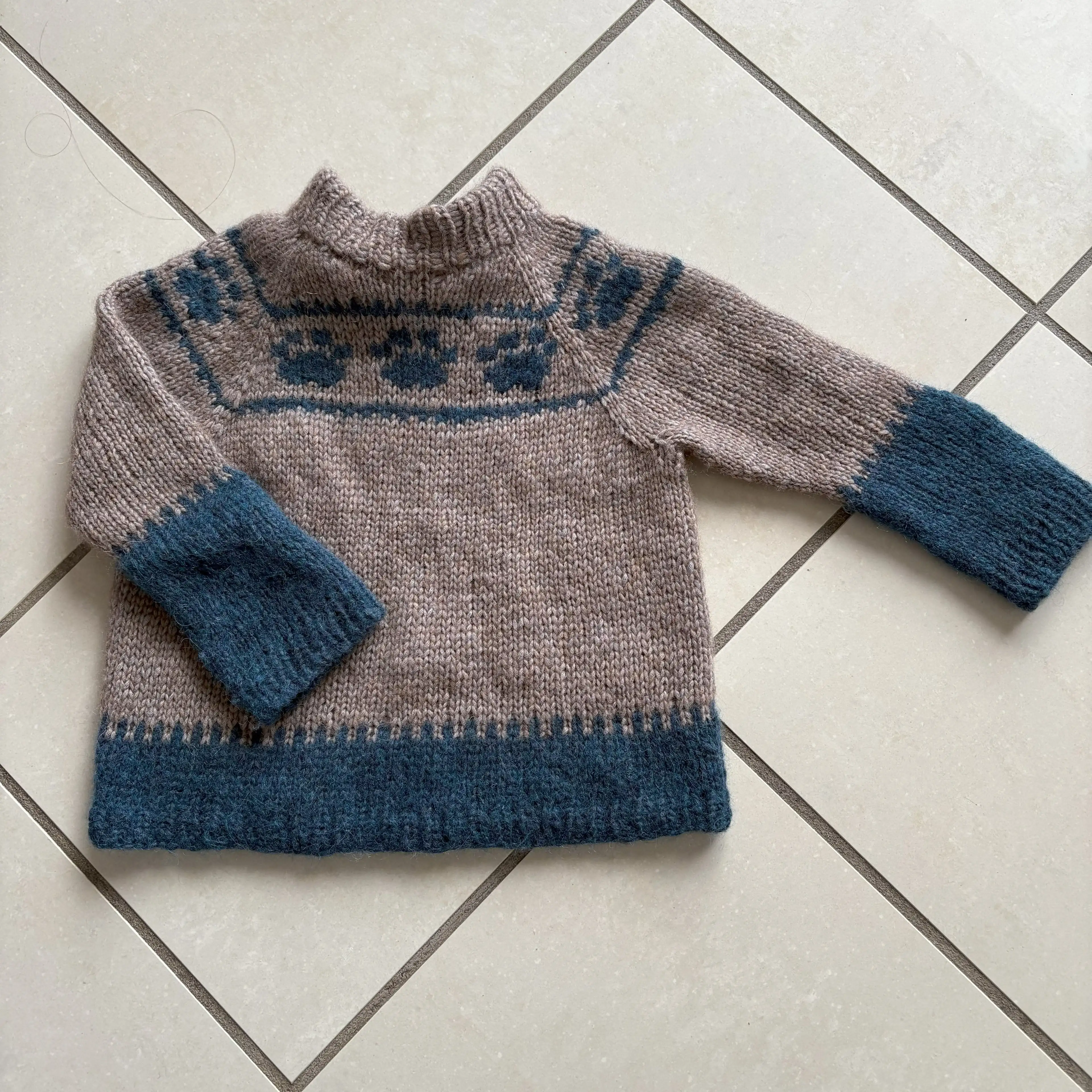 13347-wild-paws-children-s-sweater-1.webp
