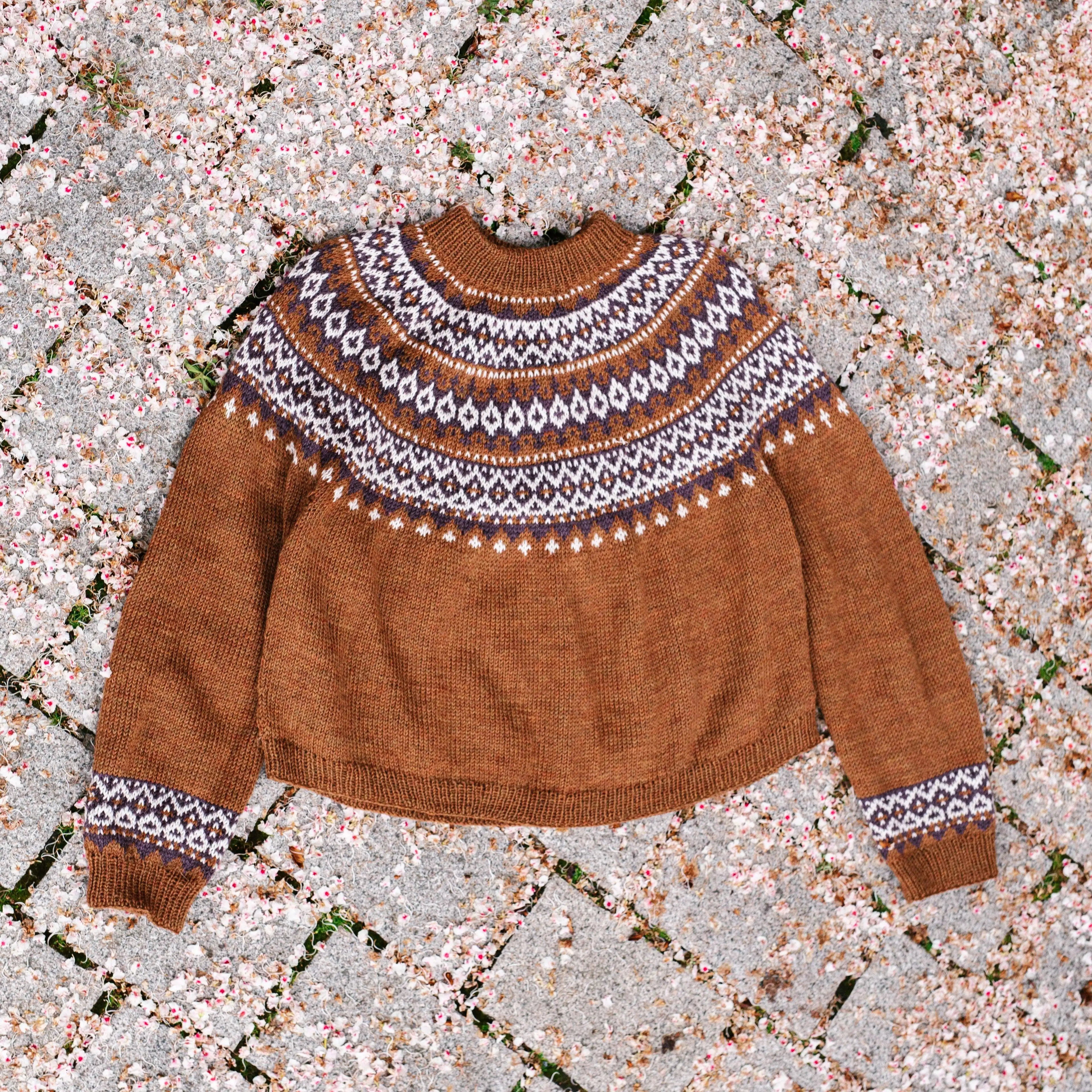 14605-thelma-pullover-1.webp