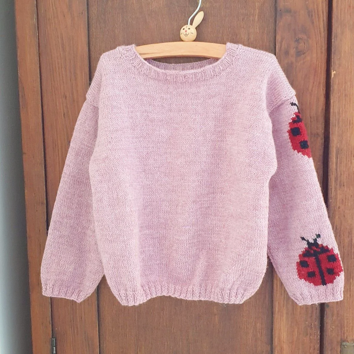 Ladybug - Childrenâs Sweater
