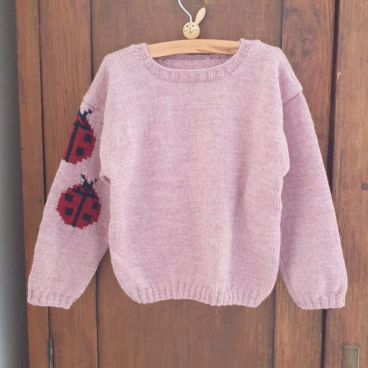 15392-ladybug-children-s-sweater-1.webp