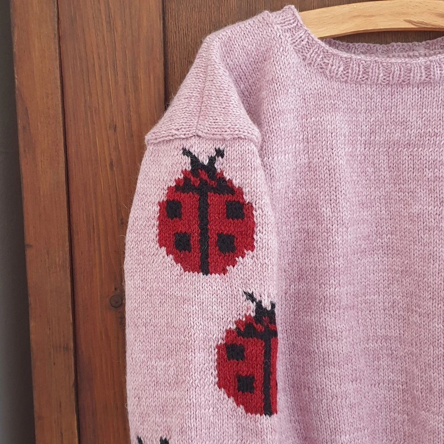 15392-ladybug-children-s-sweater-1.webp