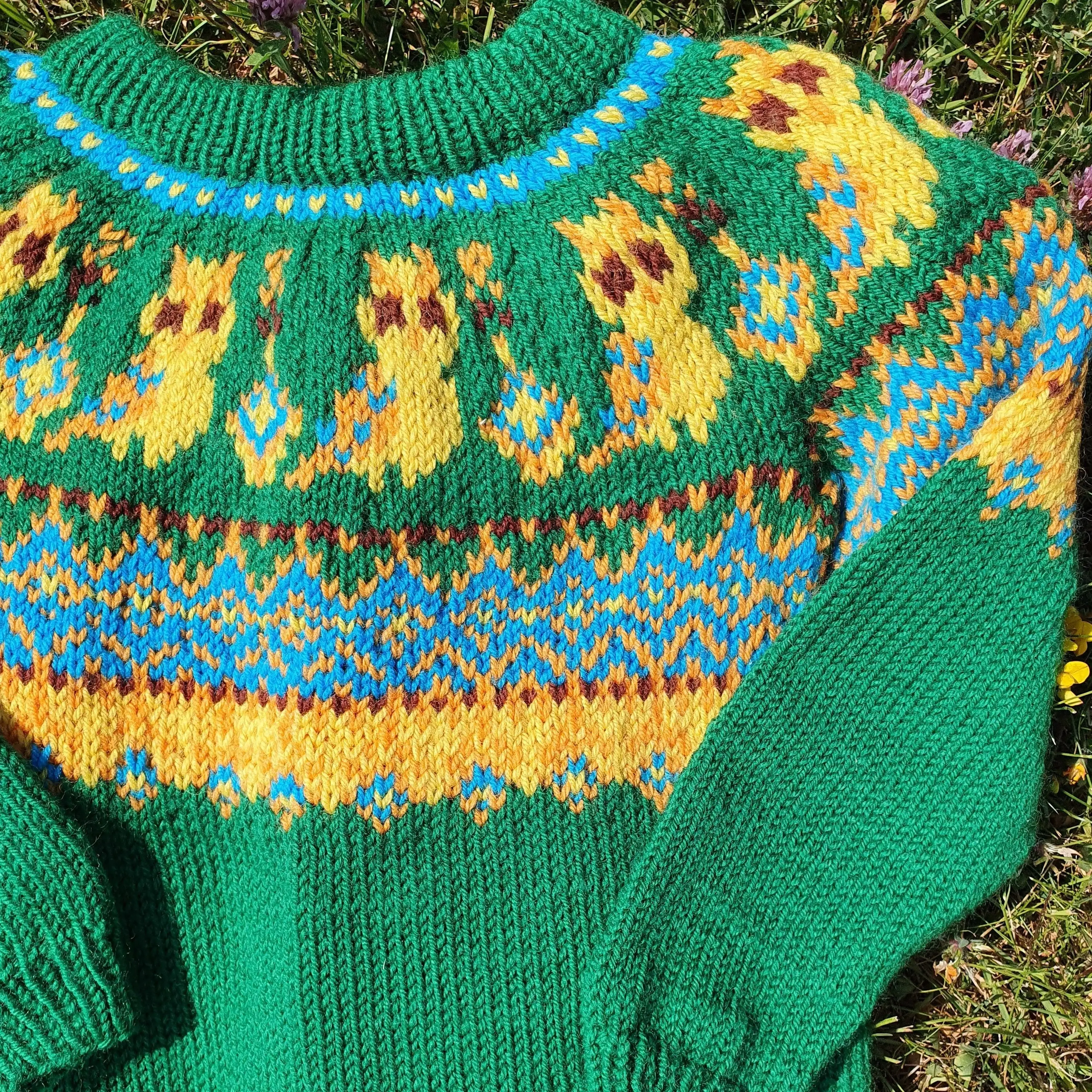Silly Owl - Childrenâs sweater
