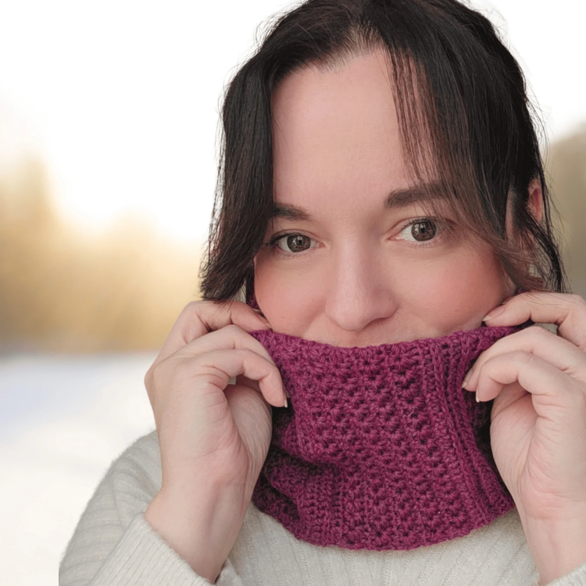 16156-winterberry-stars-cowl-1.webp