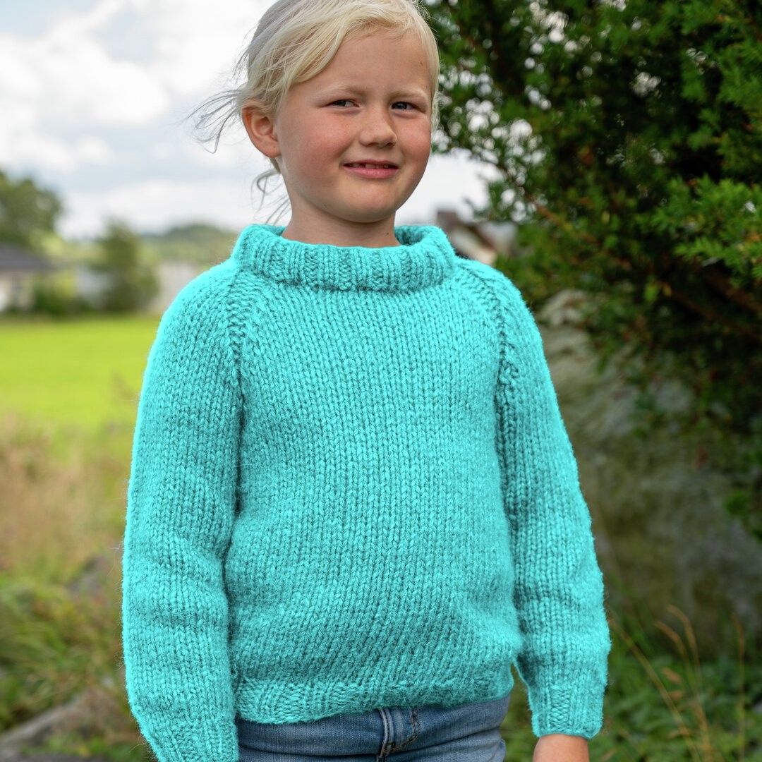 114-06C Ask Jumper