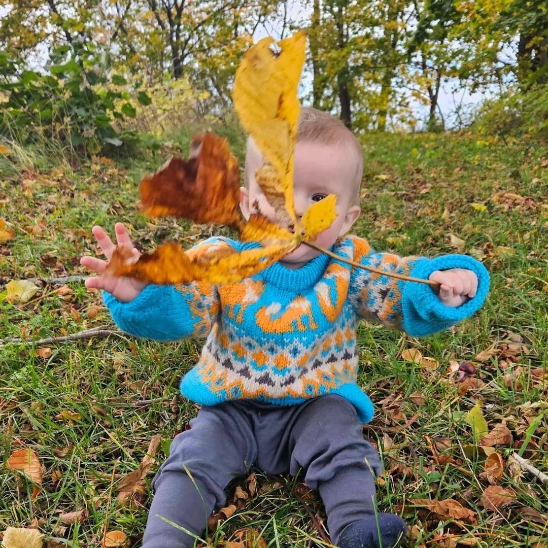 19696-happy-fox-children-s-sweater-1.webp