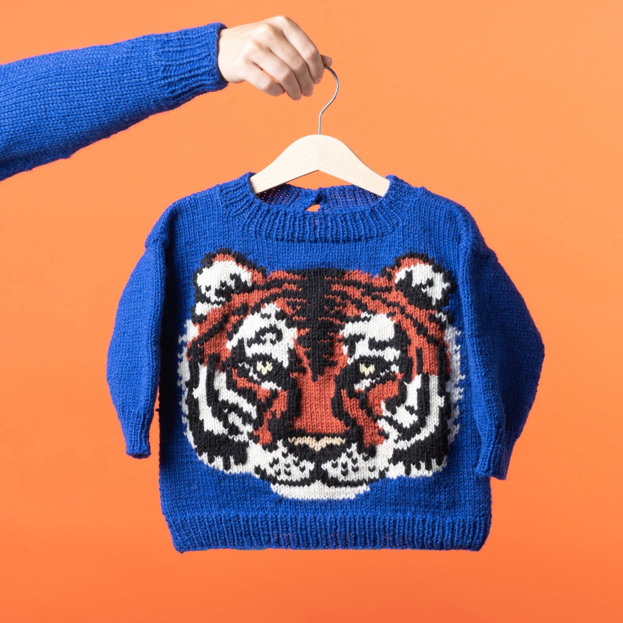 Icon Tiger - Childrenâs Sweater