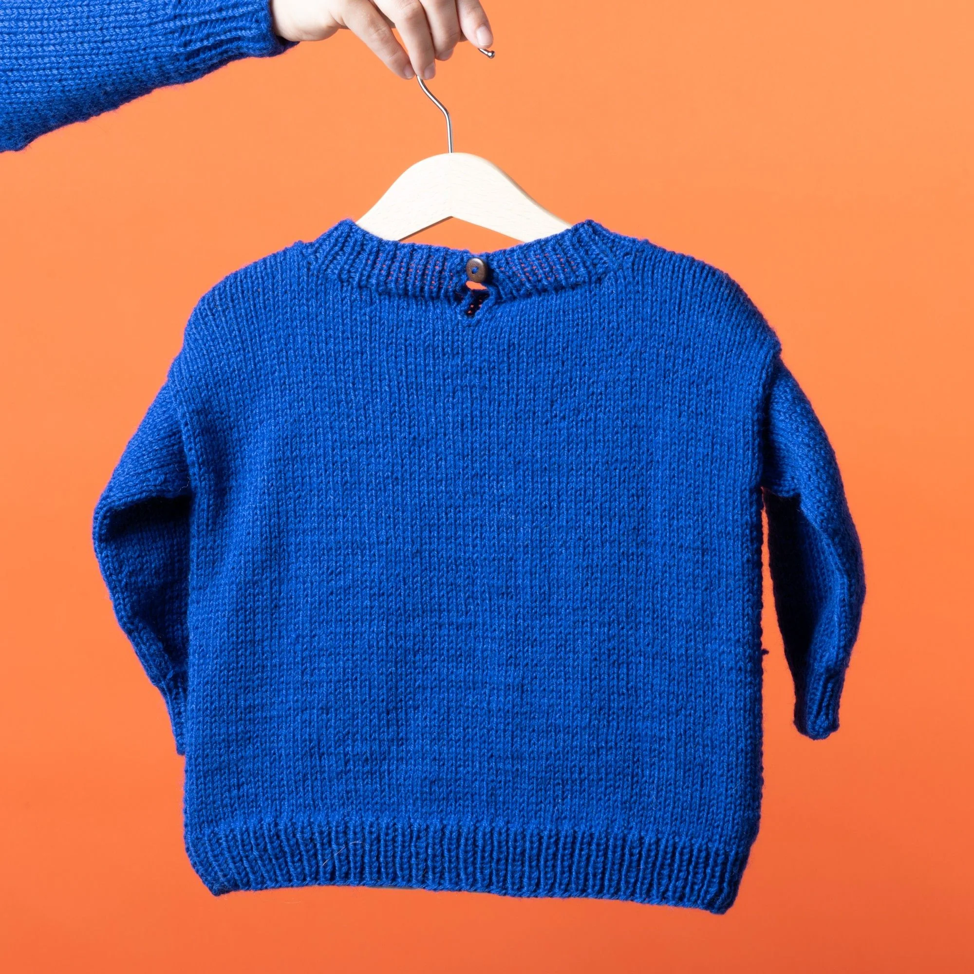 20475-icon-tiger-children-s-sweater-1.webp
