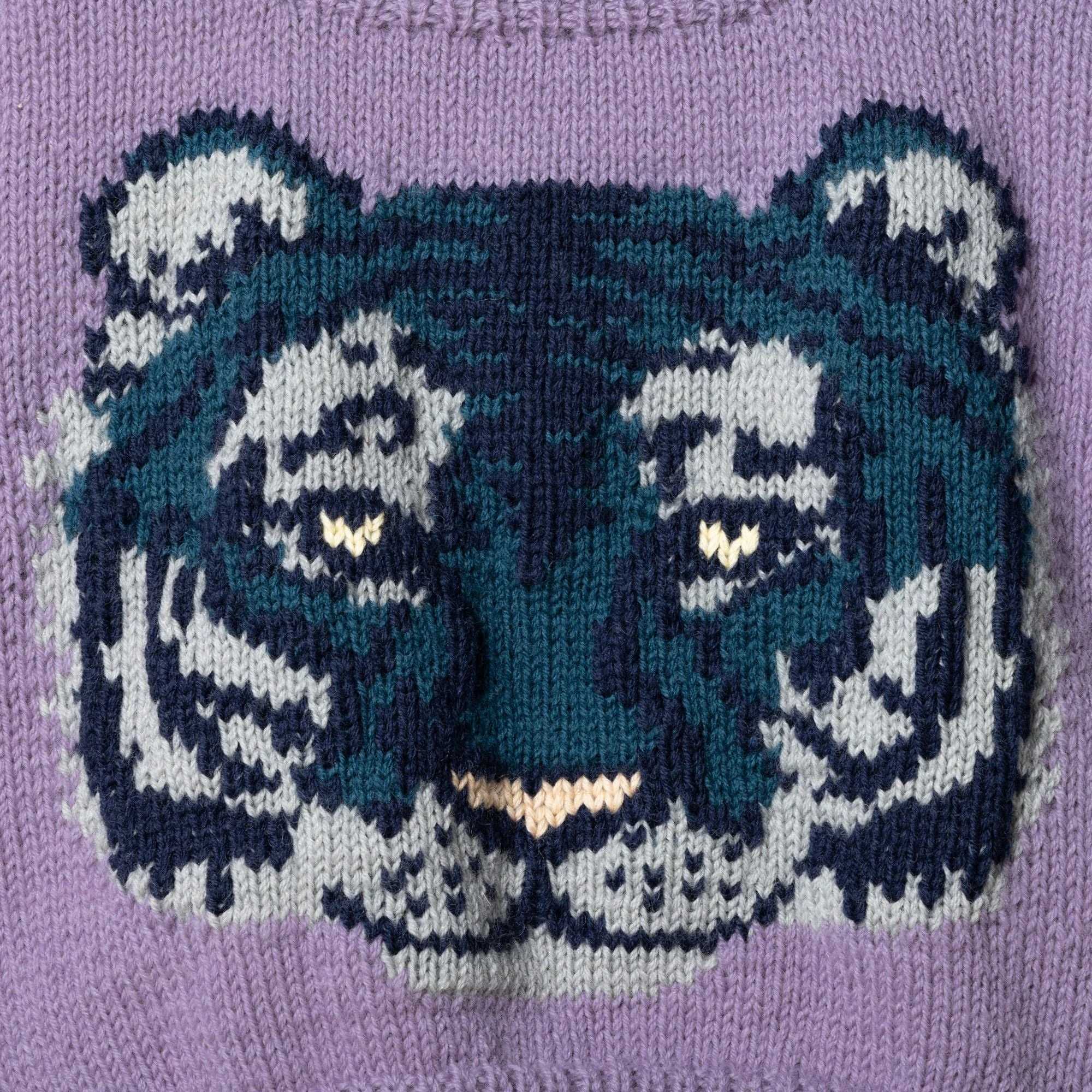 20491-mint-tiger-children-s-sweater-1.webp