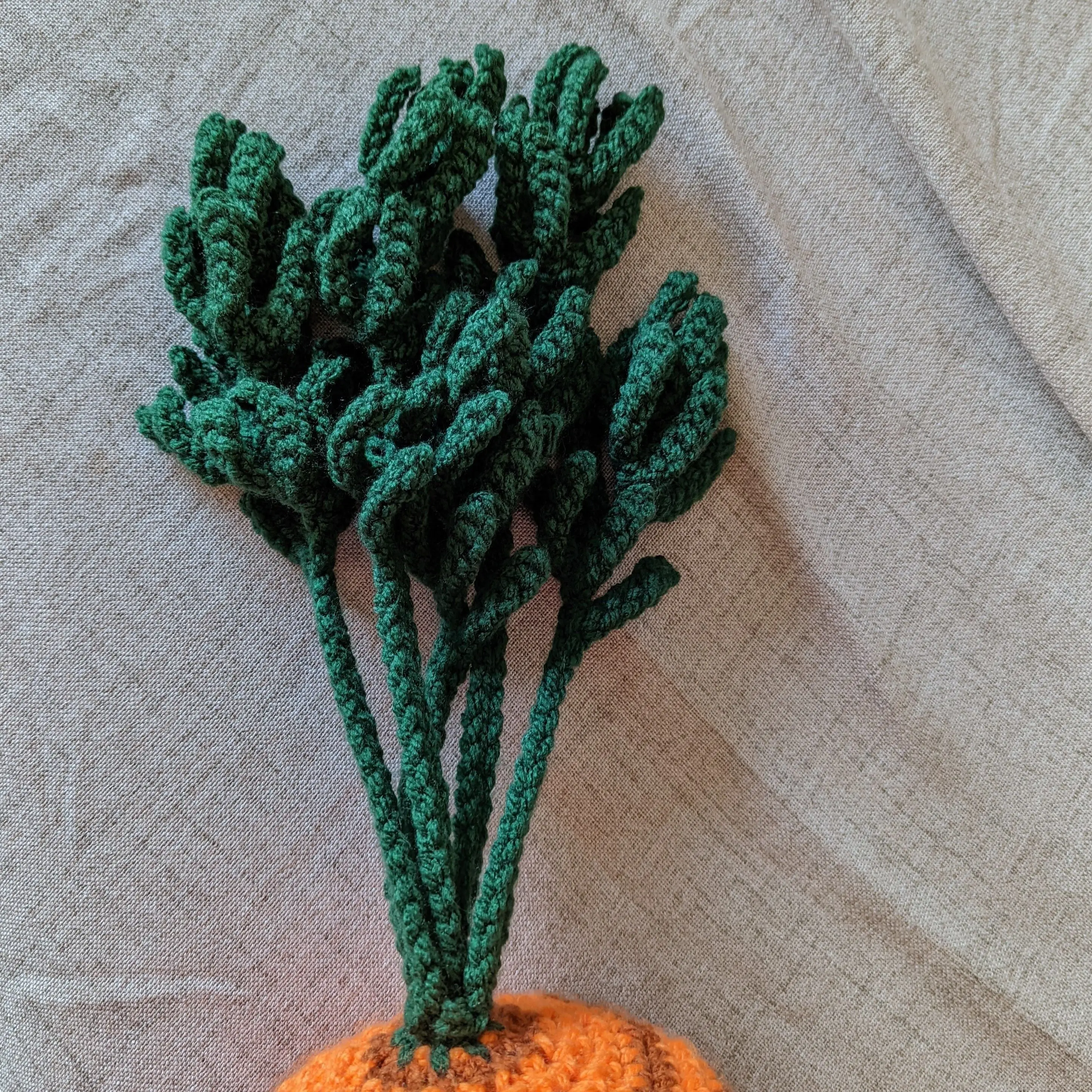 21592-big-carrot-1.webp