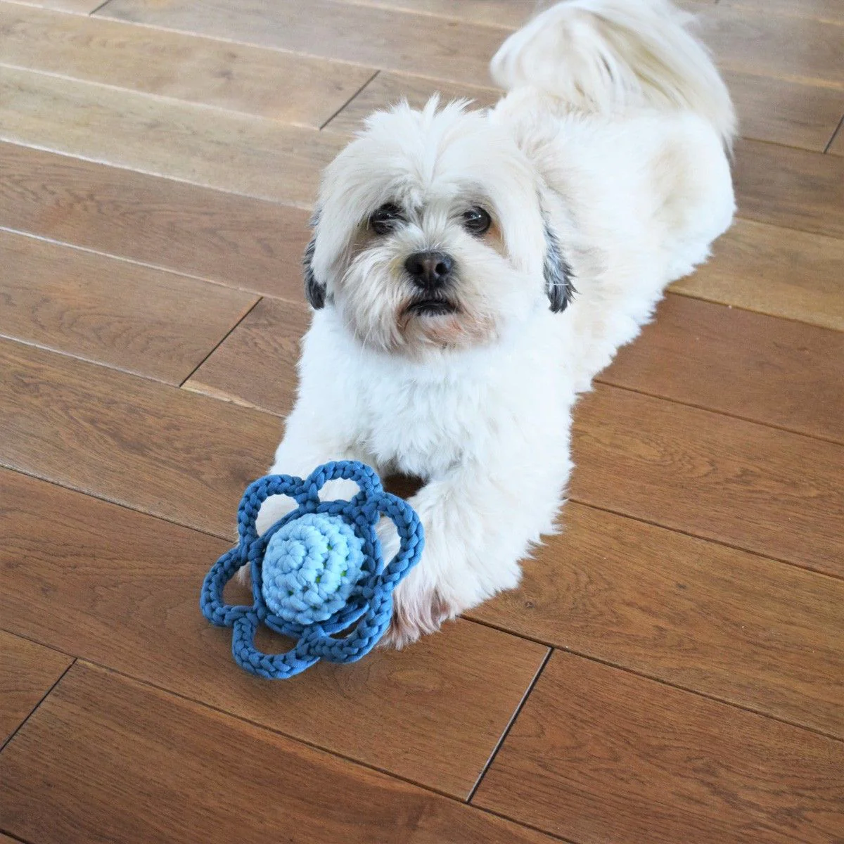 Flower â Dog Toy