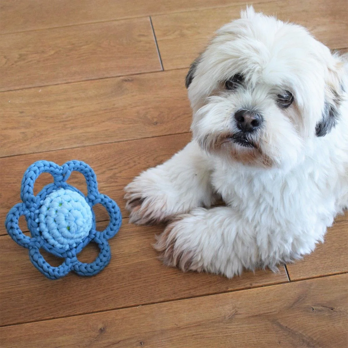 21752-flower-dog-toy-1.webp