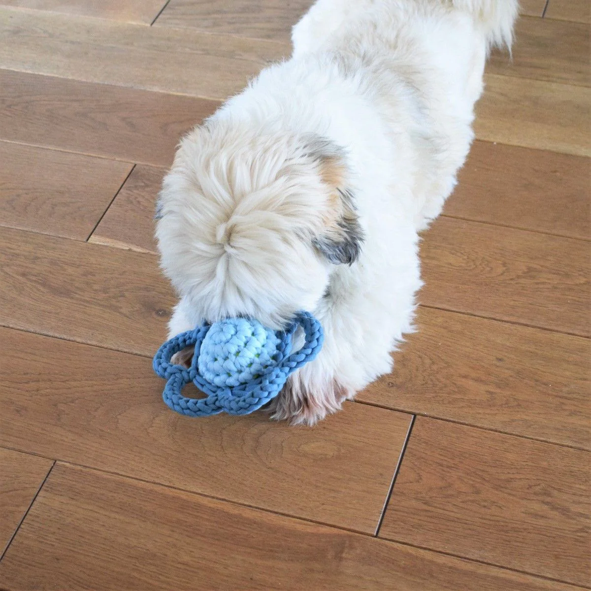 21752-flower-dog-toy-1.webp