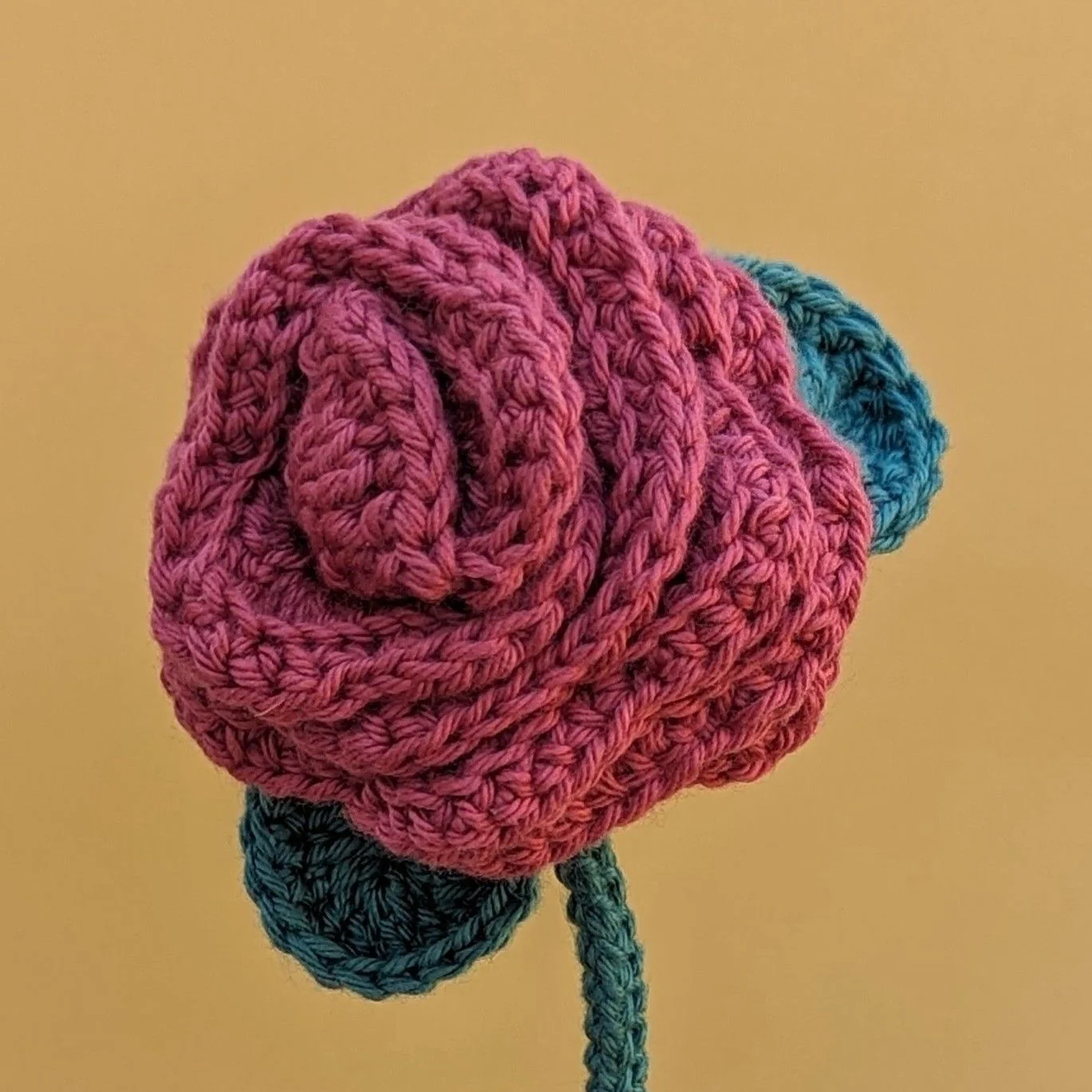 21822-rose-1.webp