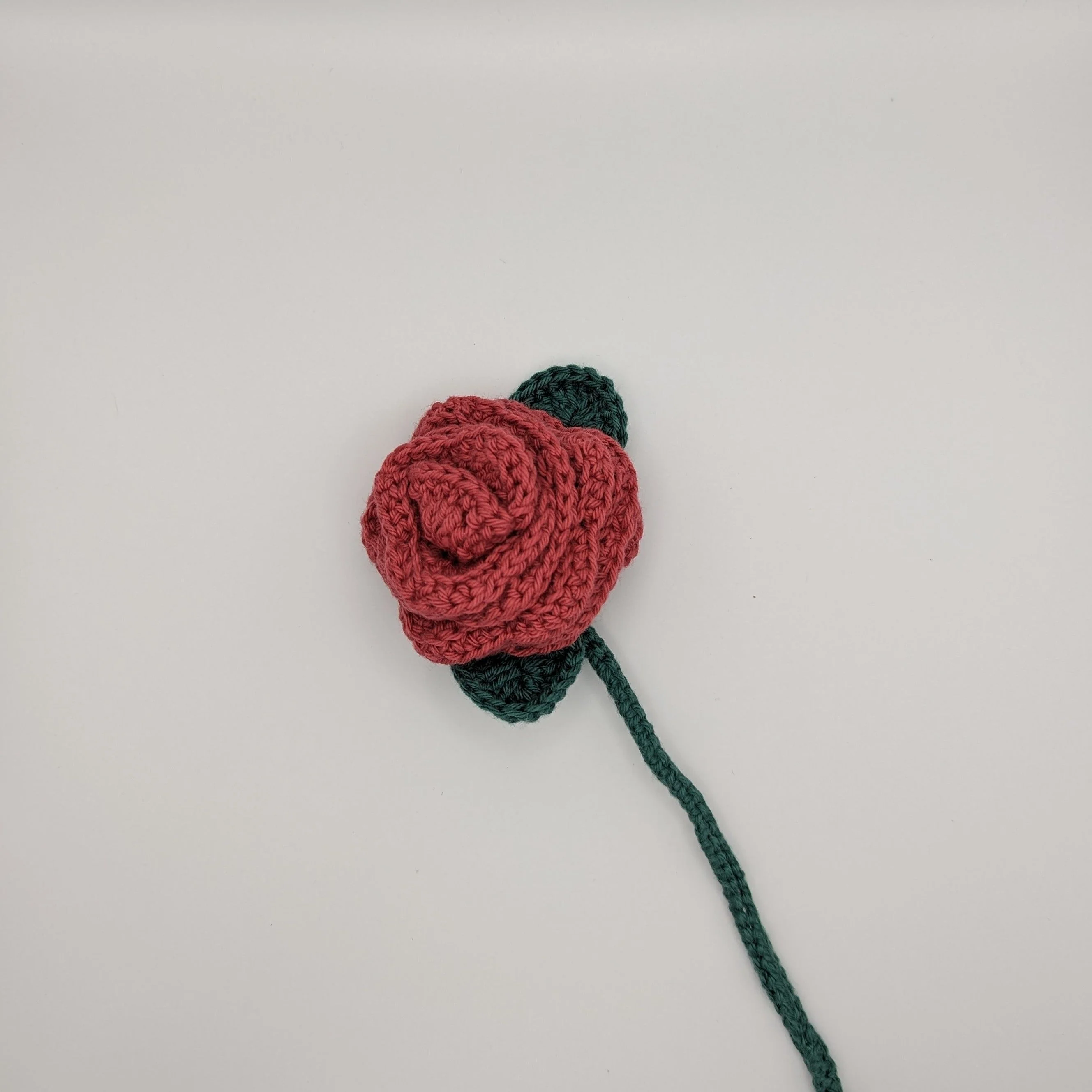 21822-rose-1.webp