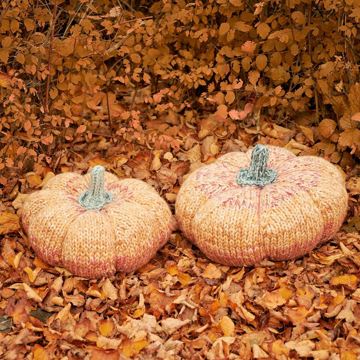 22839-giant-pumpkin-1.jpg