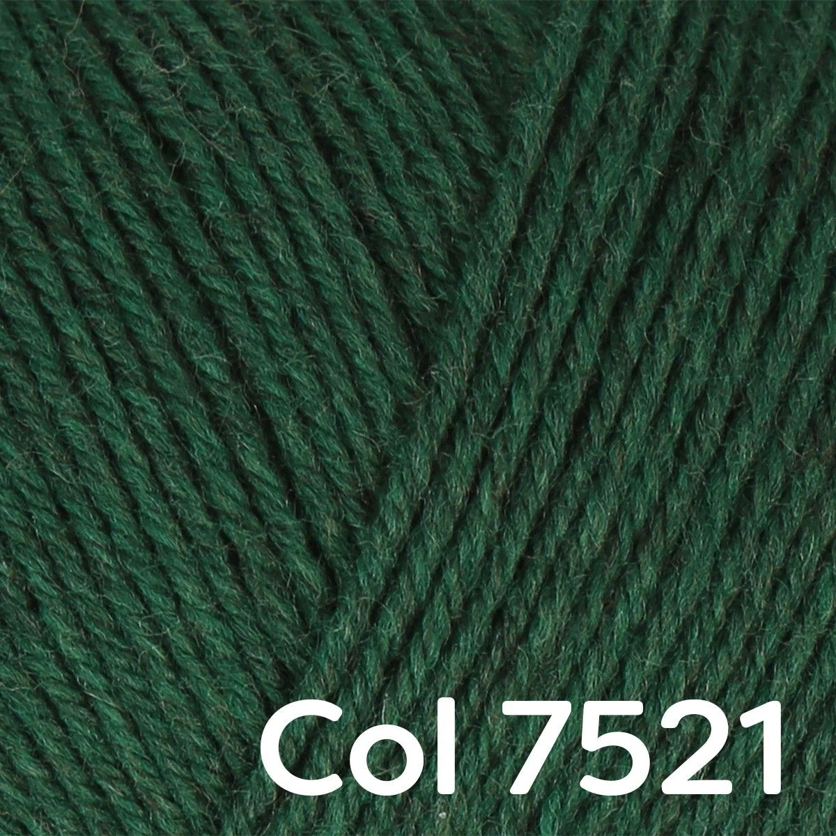 23079-regia-premium-merino-yak-4-ply-1.webp