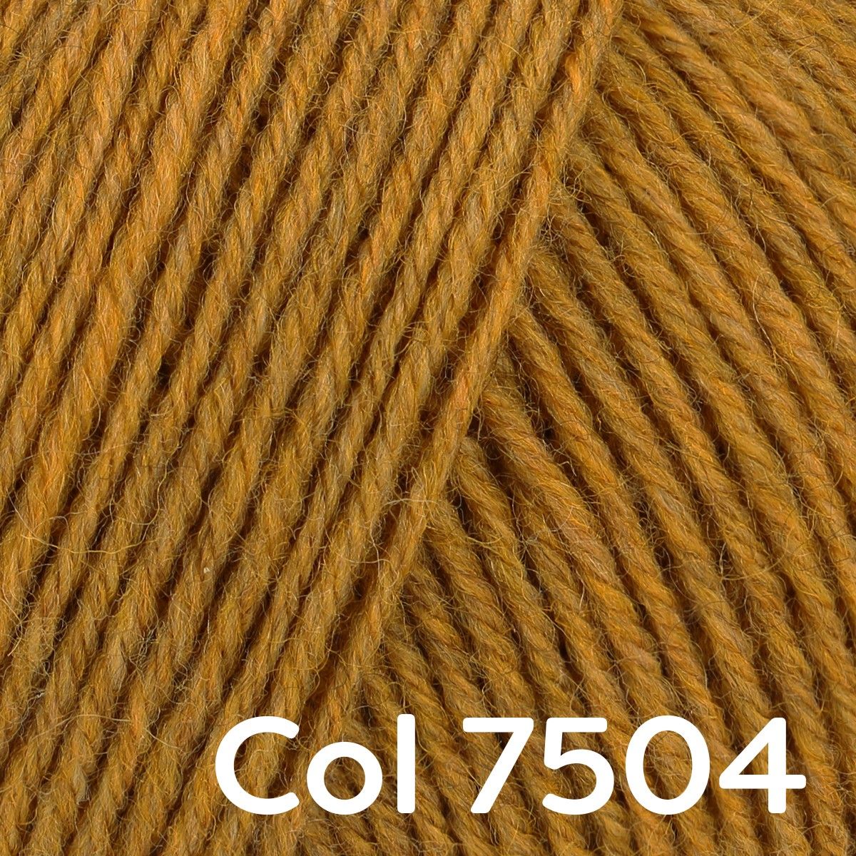 23079-regia-premium-merino-yak-4-ply-1.webp