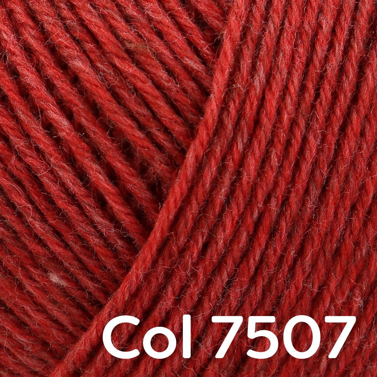 23079-regia-premium-merino-yak-4-ply-1.webp