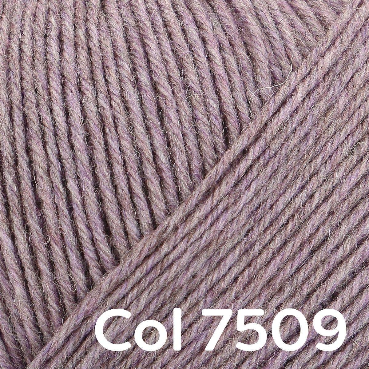 23079-regia-premium-merino-yak-4-ply-1.webp