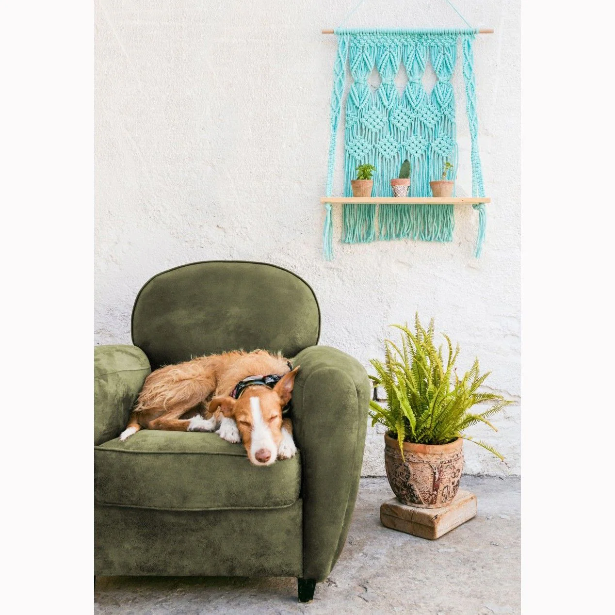 Nova Vita 12 - 22 home decor projects