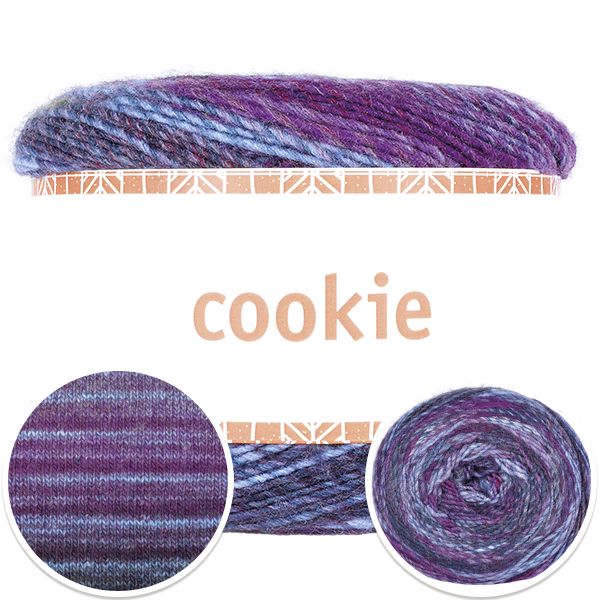 4511-cookie-1.jpg