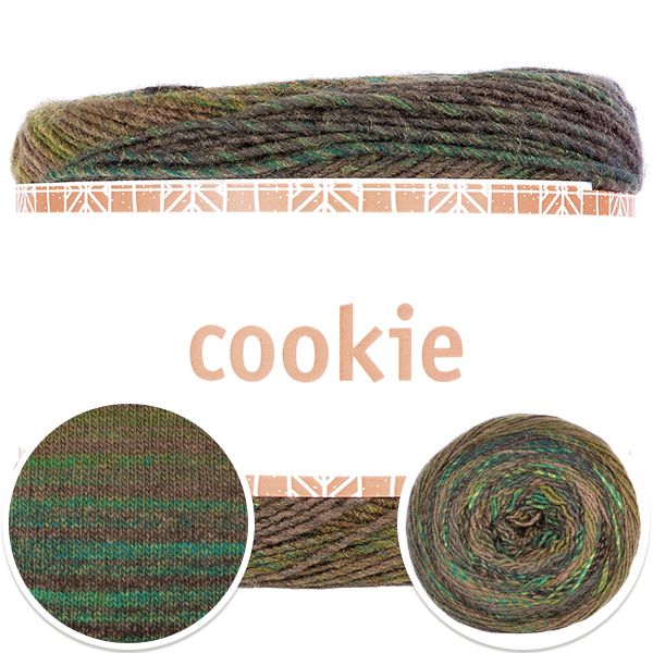 4511-cookie-1.jpg