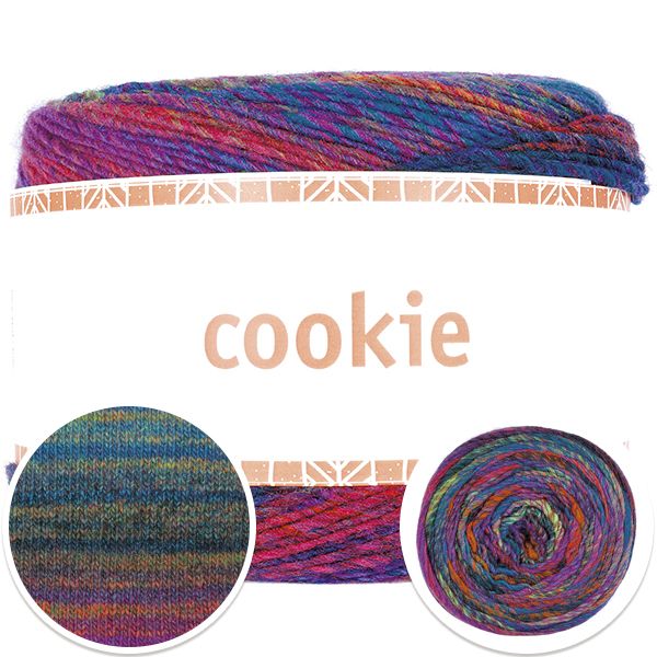 4511-cookie-1.jpg