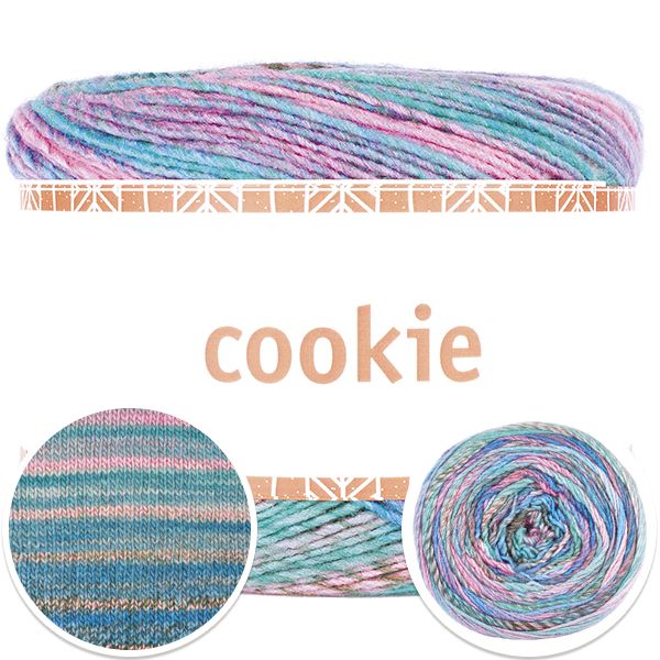 4511-cookie-1.jpg