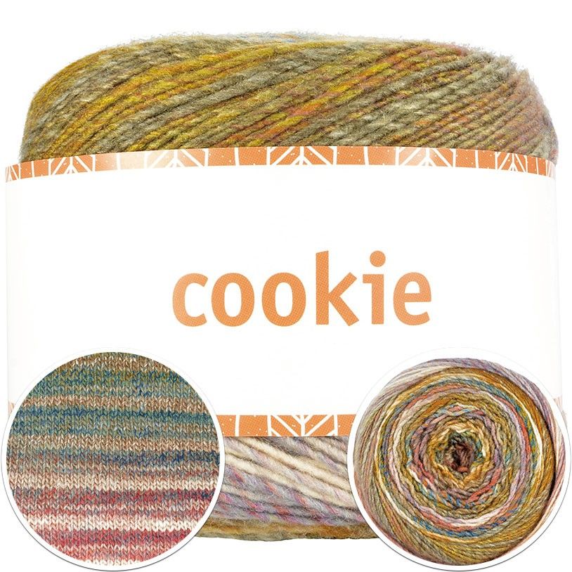 4511-cookie-1.jpg
