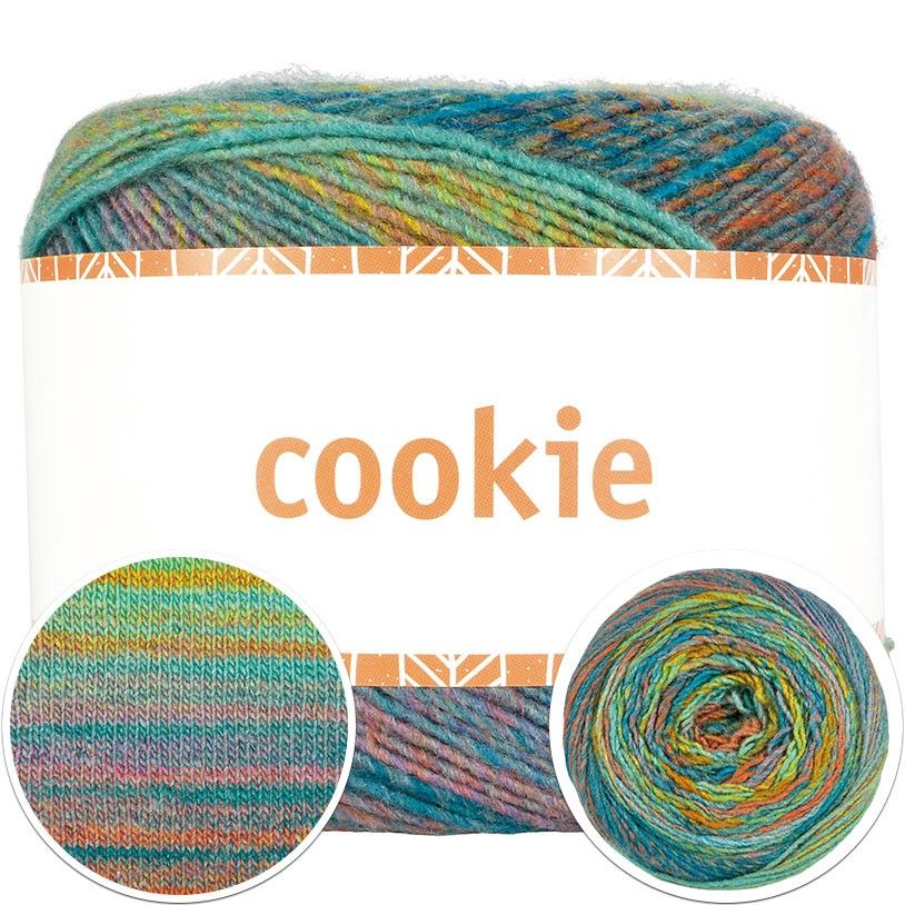 4511-cookie-1.jpg