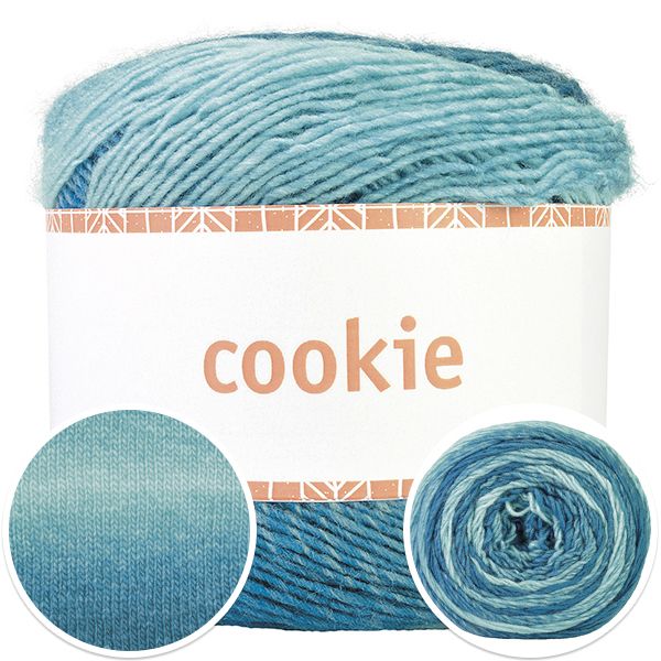 4511-cookie-1.jpg