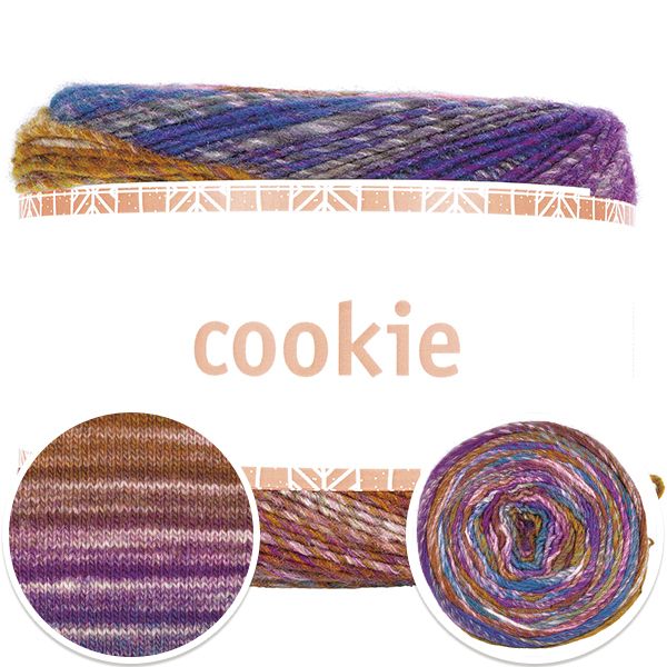 4511-cookie-1.jpg