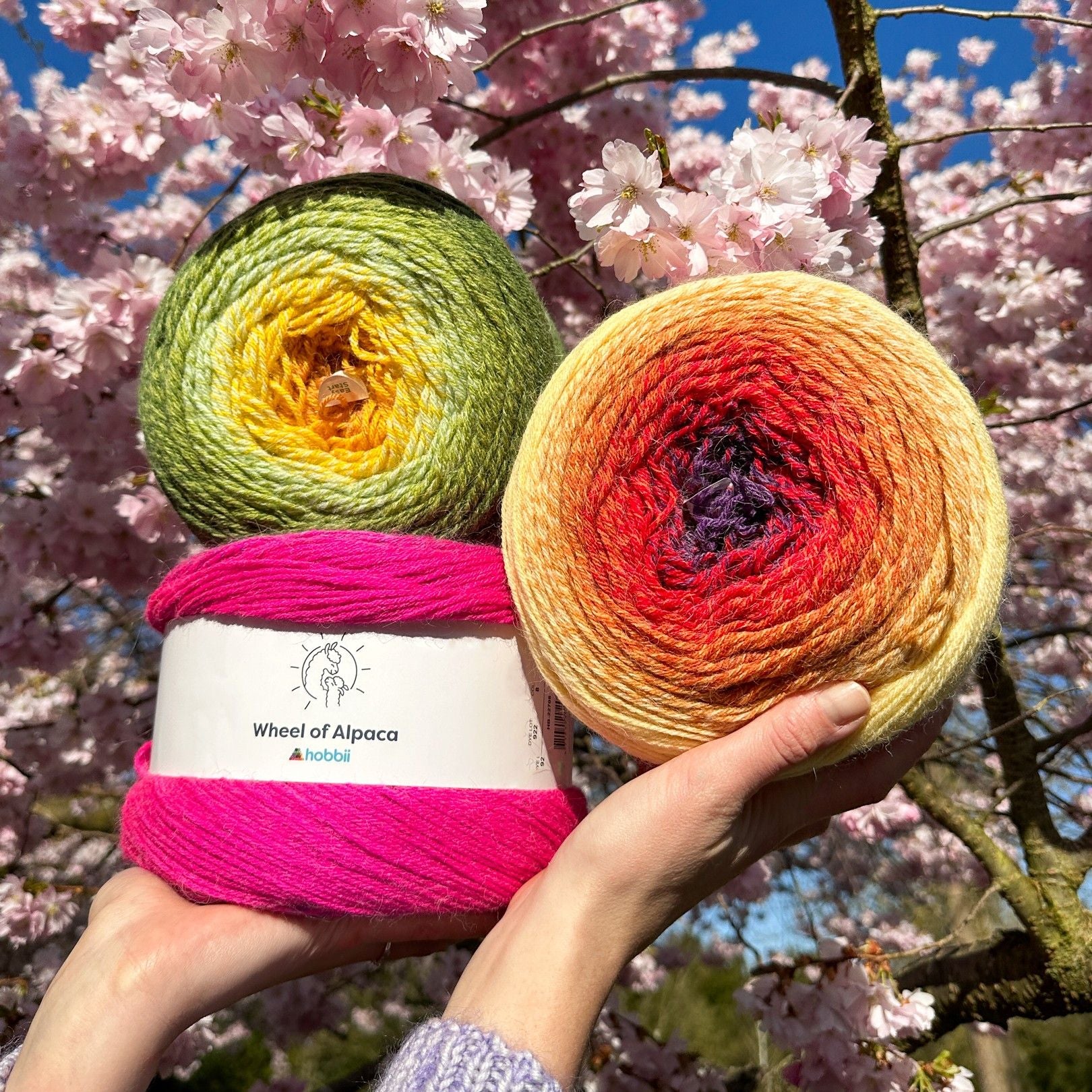 4671-wheel-of-alpaca-1.webp