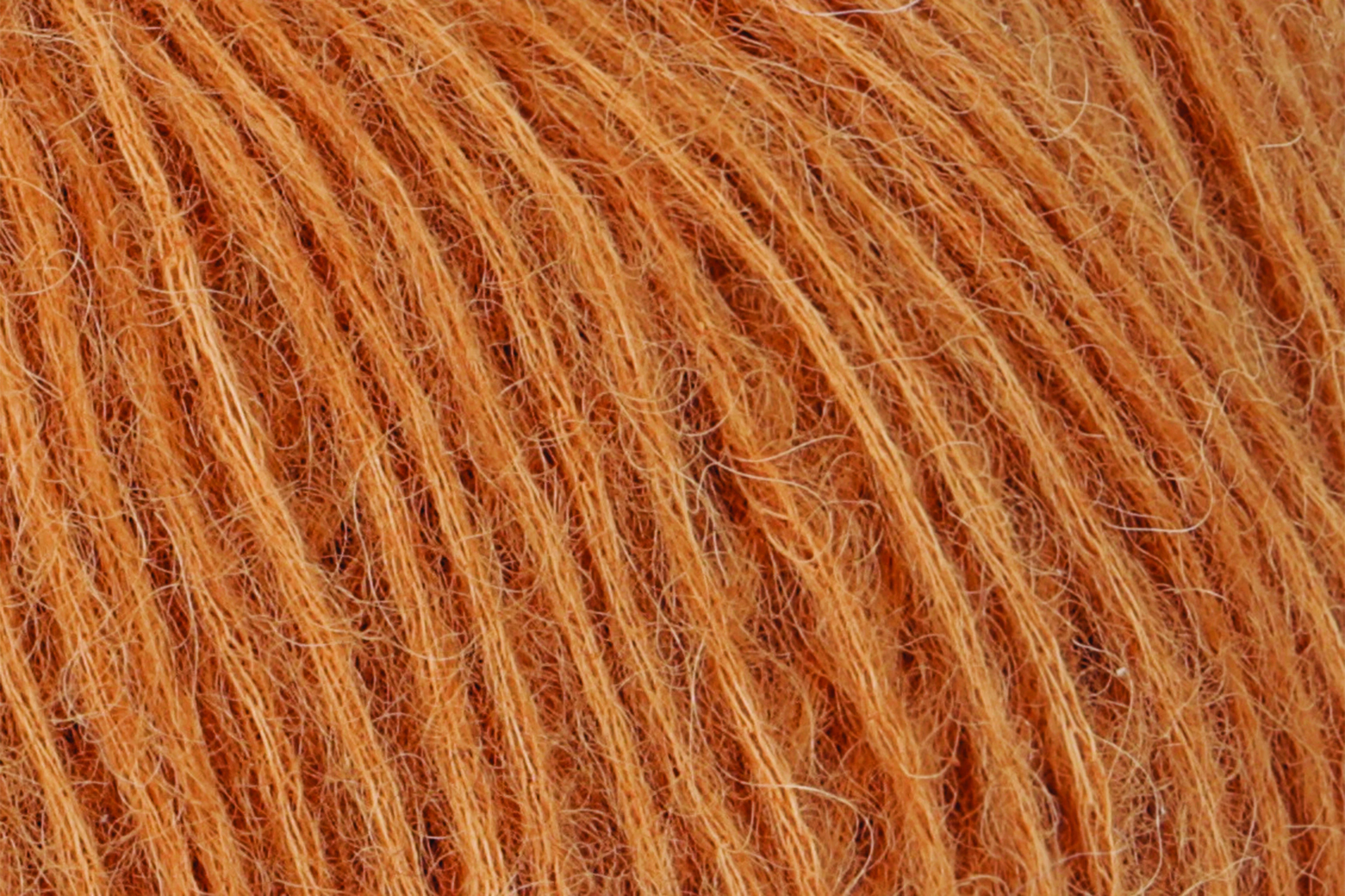 5466-alpaca-classic-1.webp