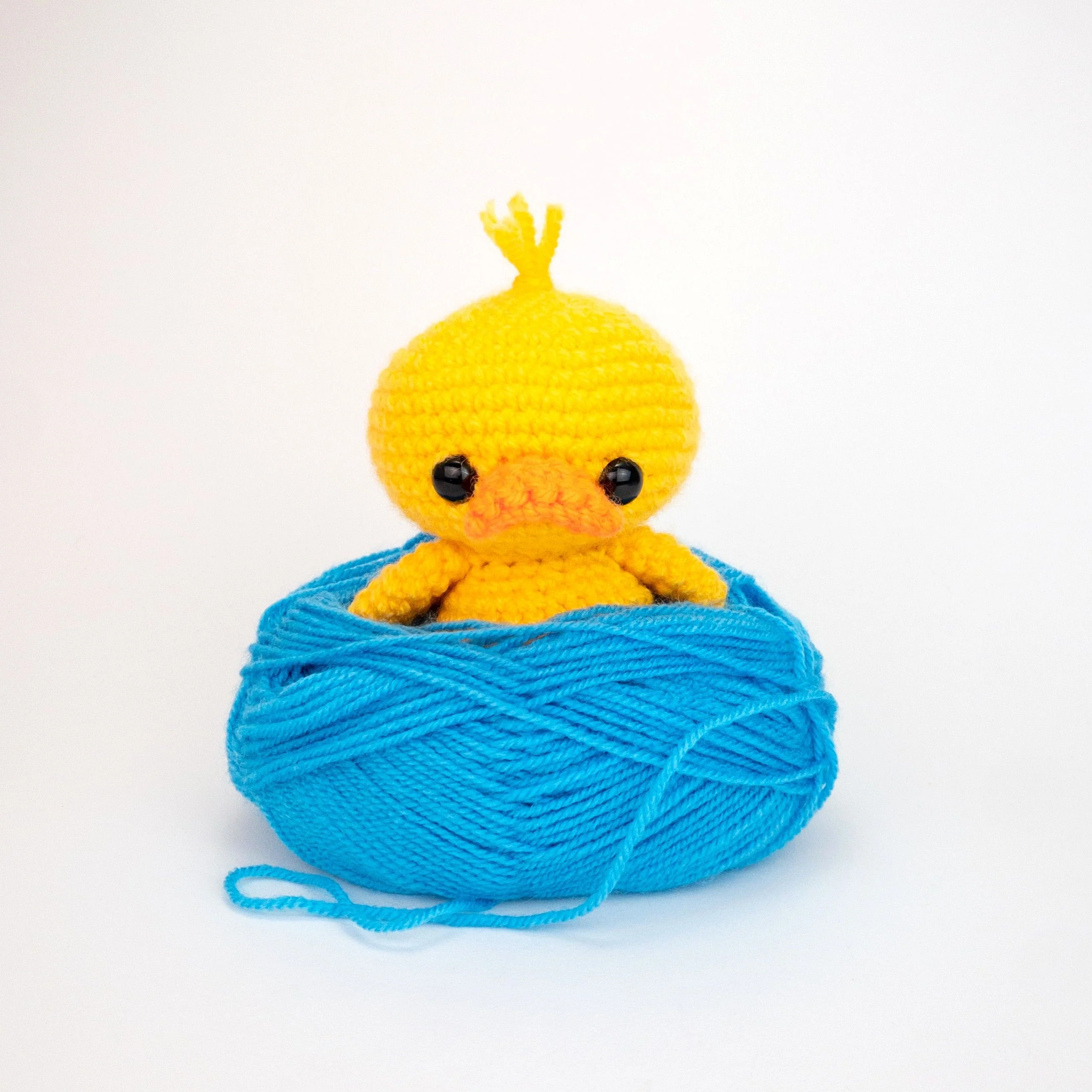 5596-dilly-the-duck-1.webp