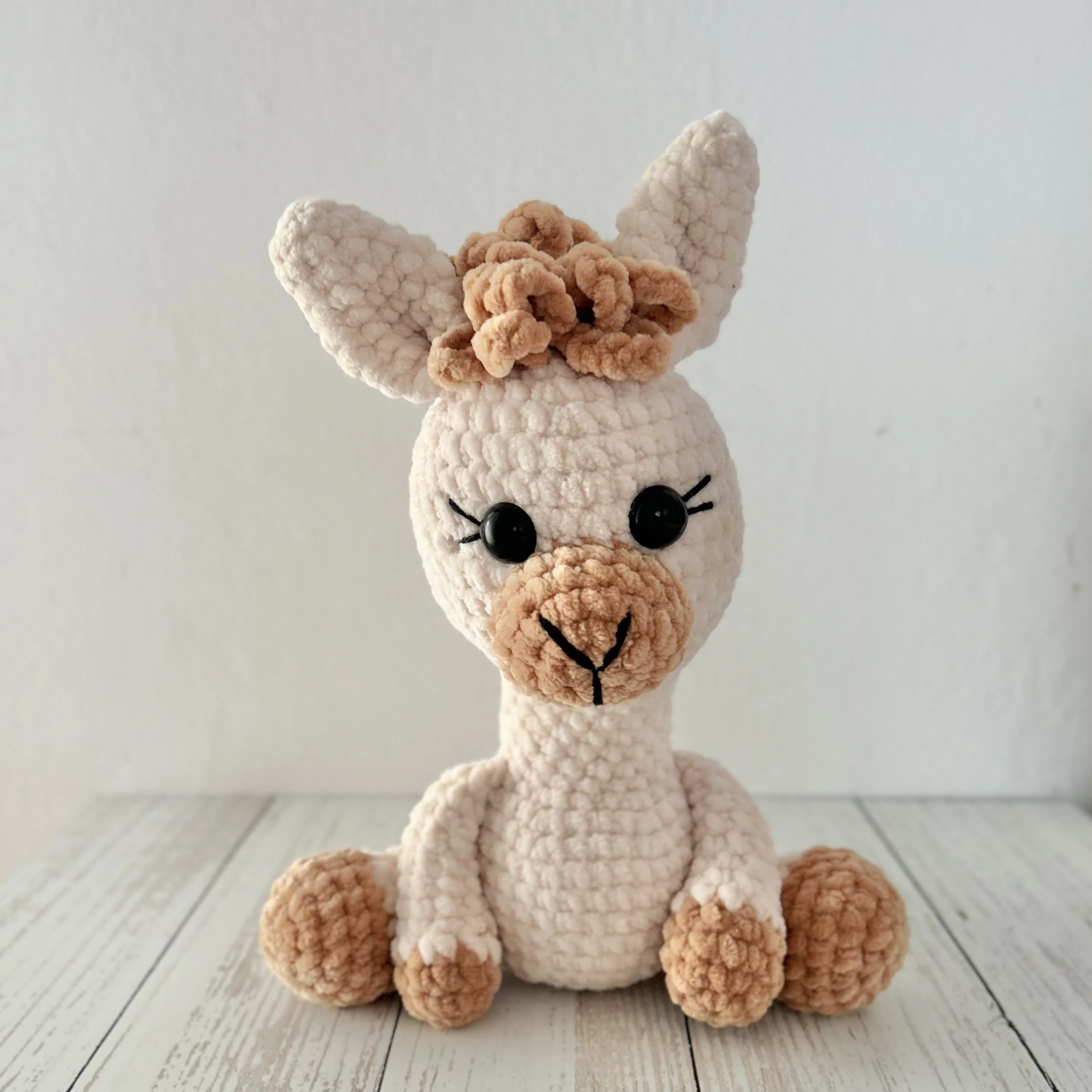 Alice the Alpaca