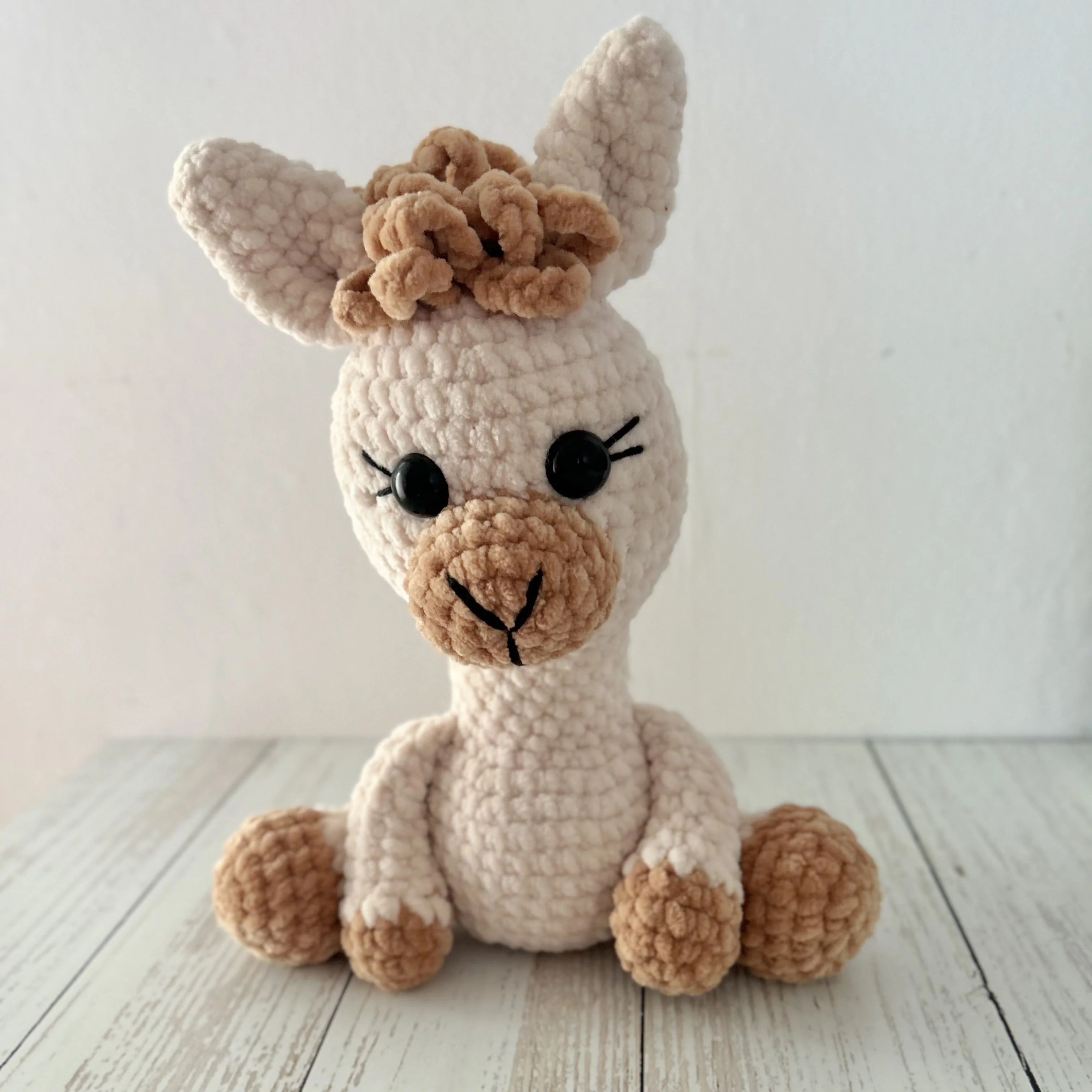 5604-alice-the-alpaca-1.webp