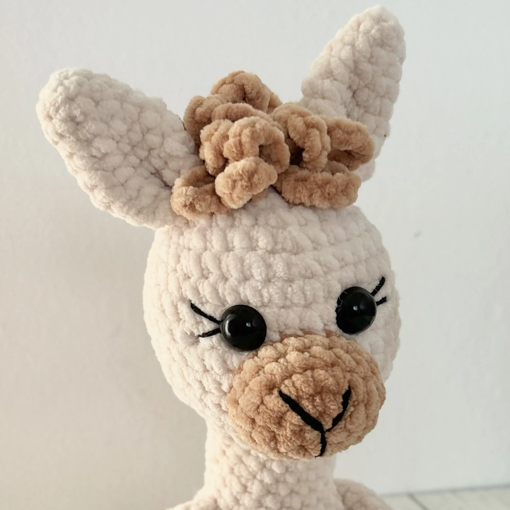 5604-alice-the-alpaca-1.webp