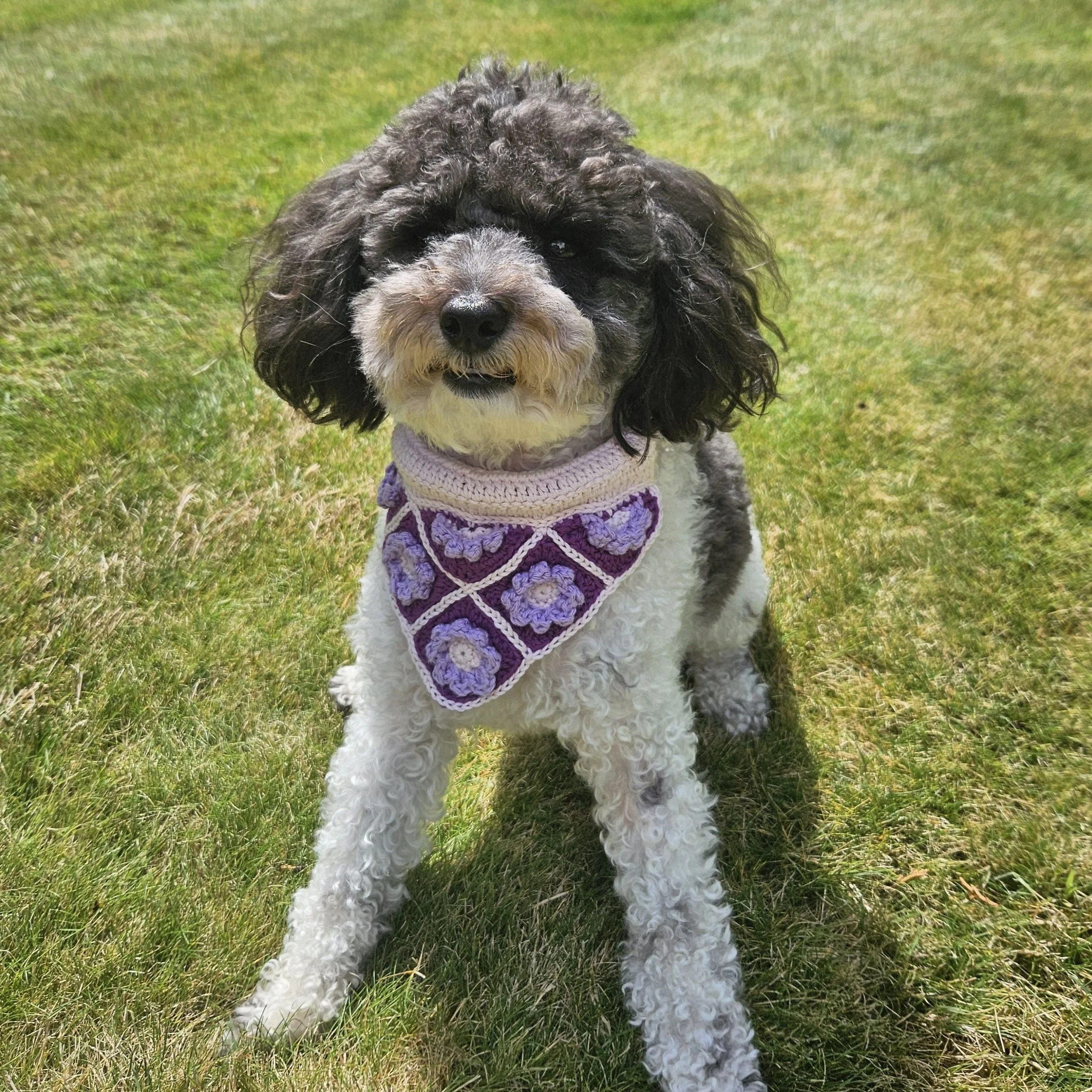 Millieâs - Dog bandana