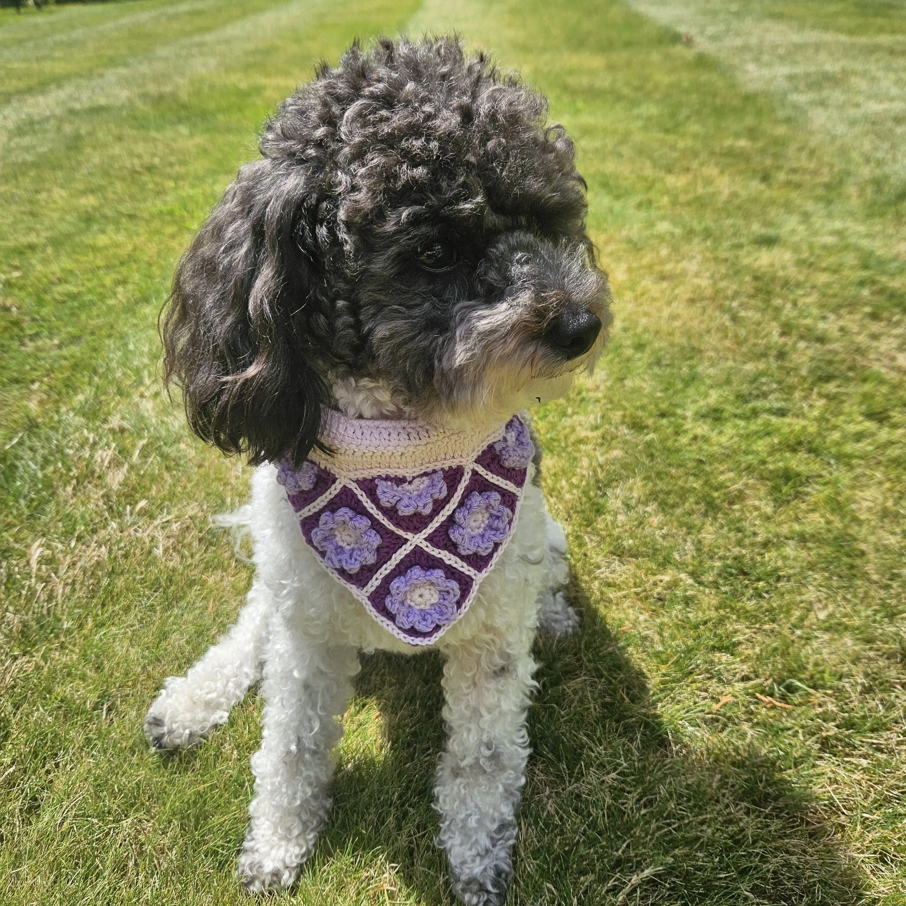 Millieâs - Dog bandana
