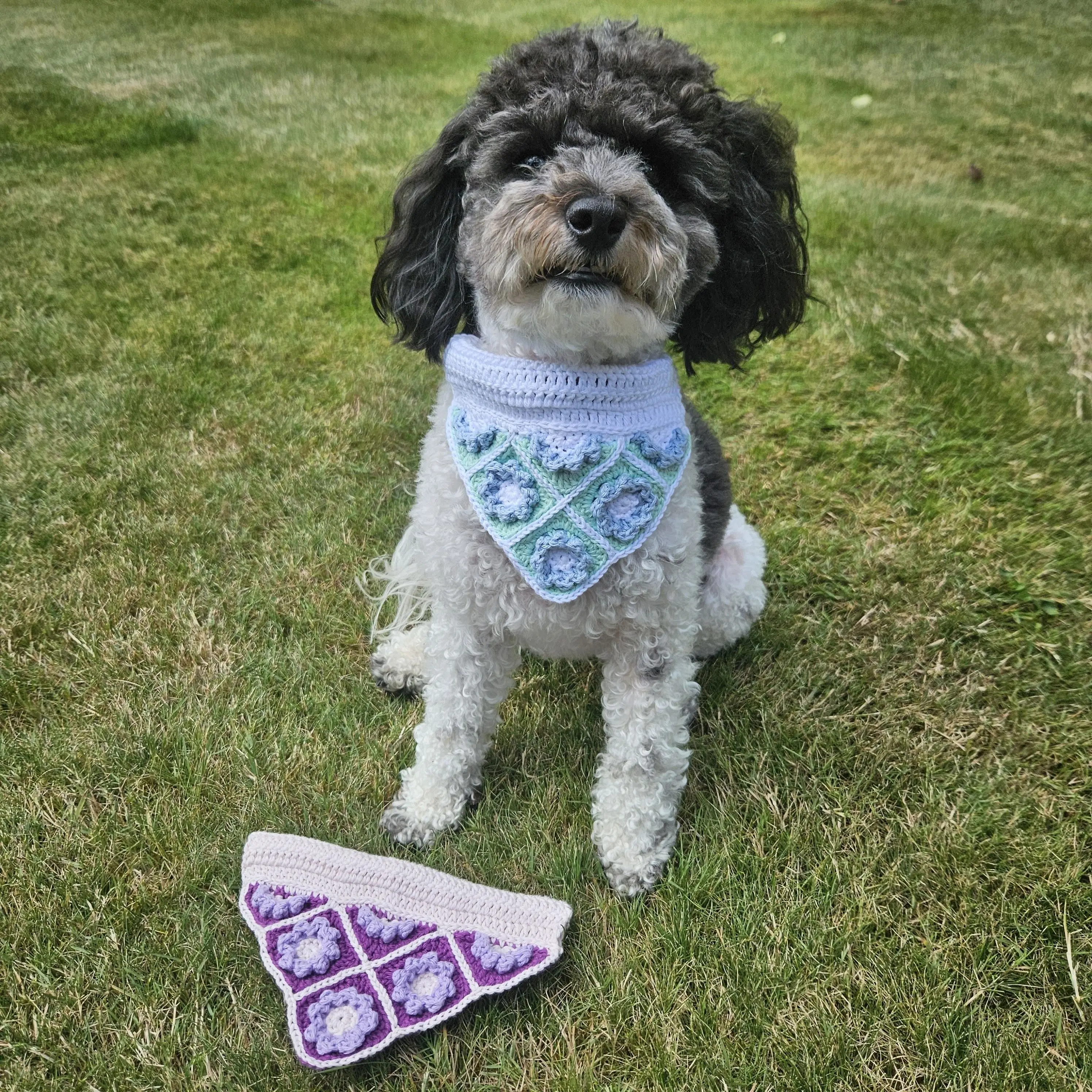 561-millie-s-dog-bandana-1.webp