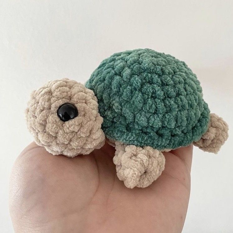 Baby Turtle