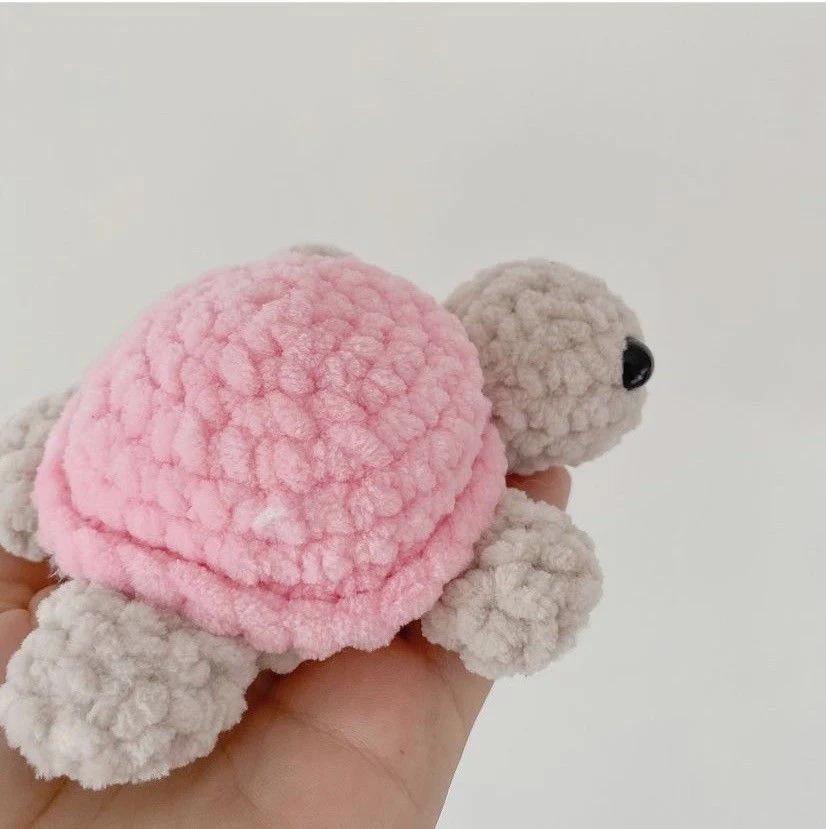 Baby Turtle
