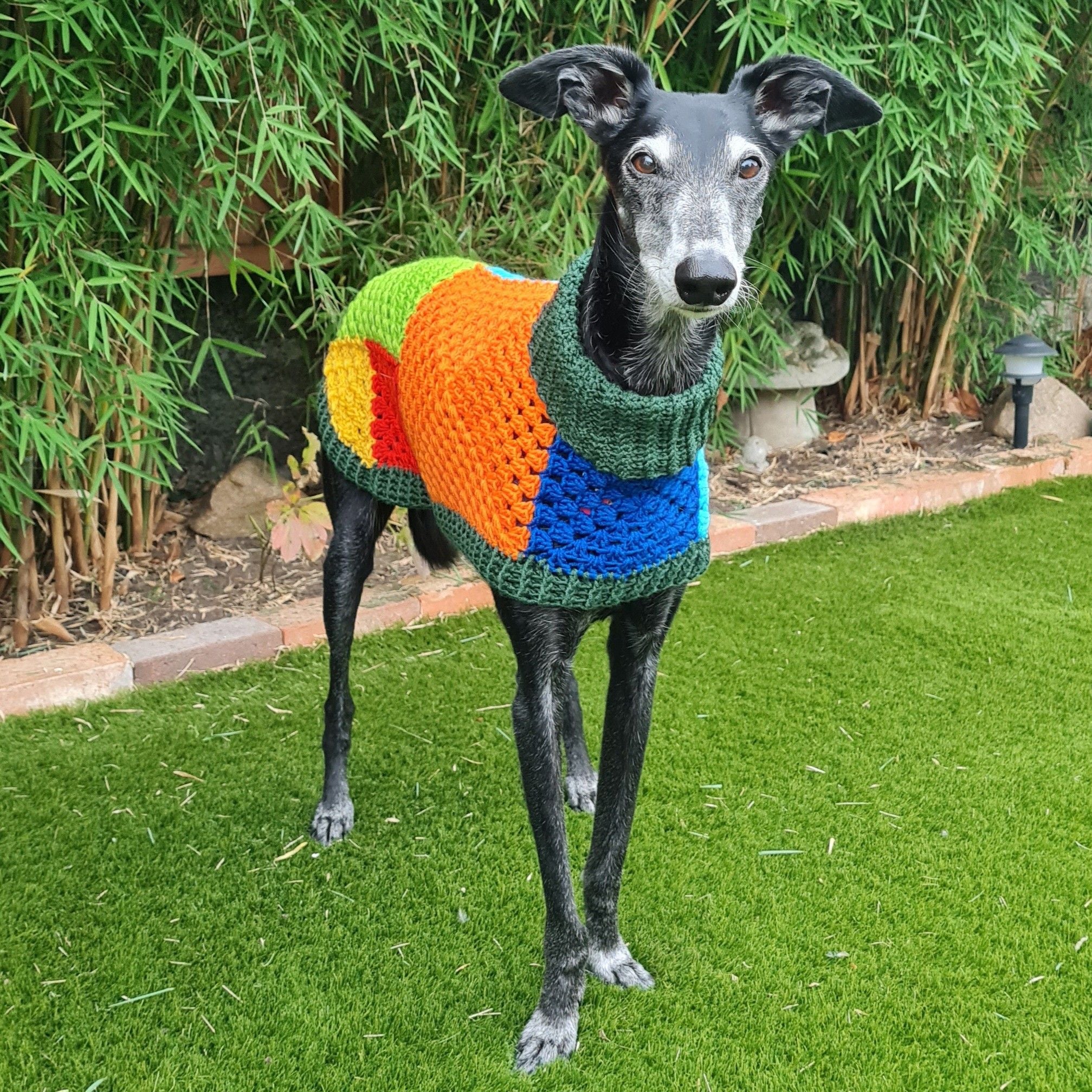 Wally - Dog Jumper