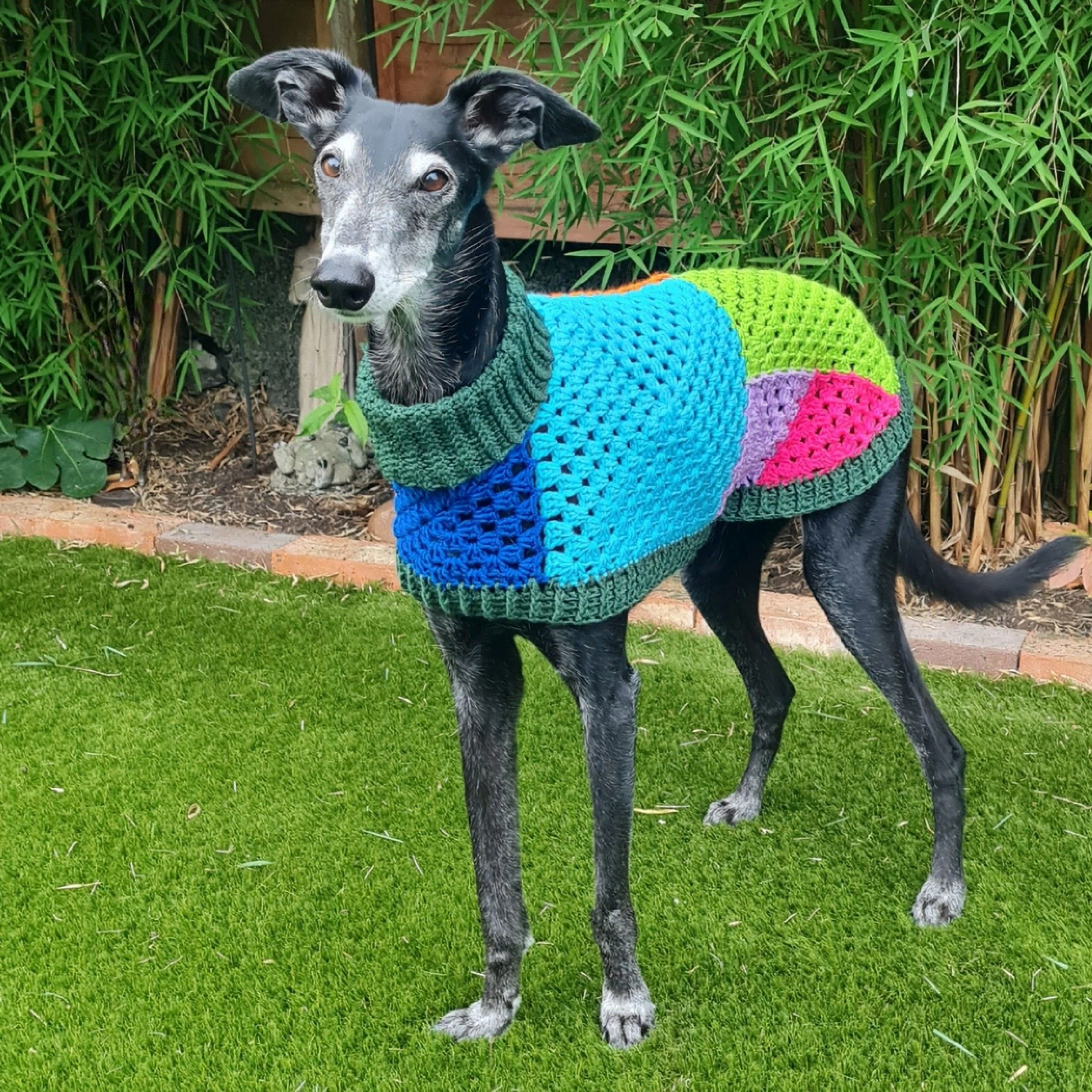 562-wally-dog-jumper-1.webp
