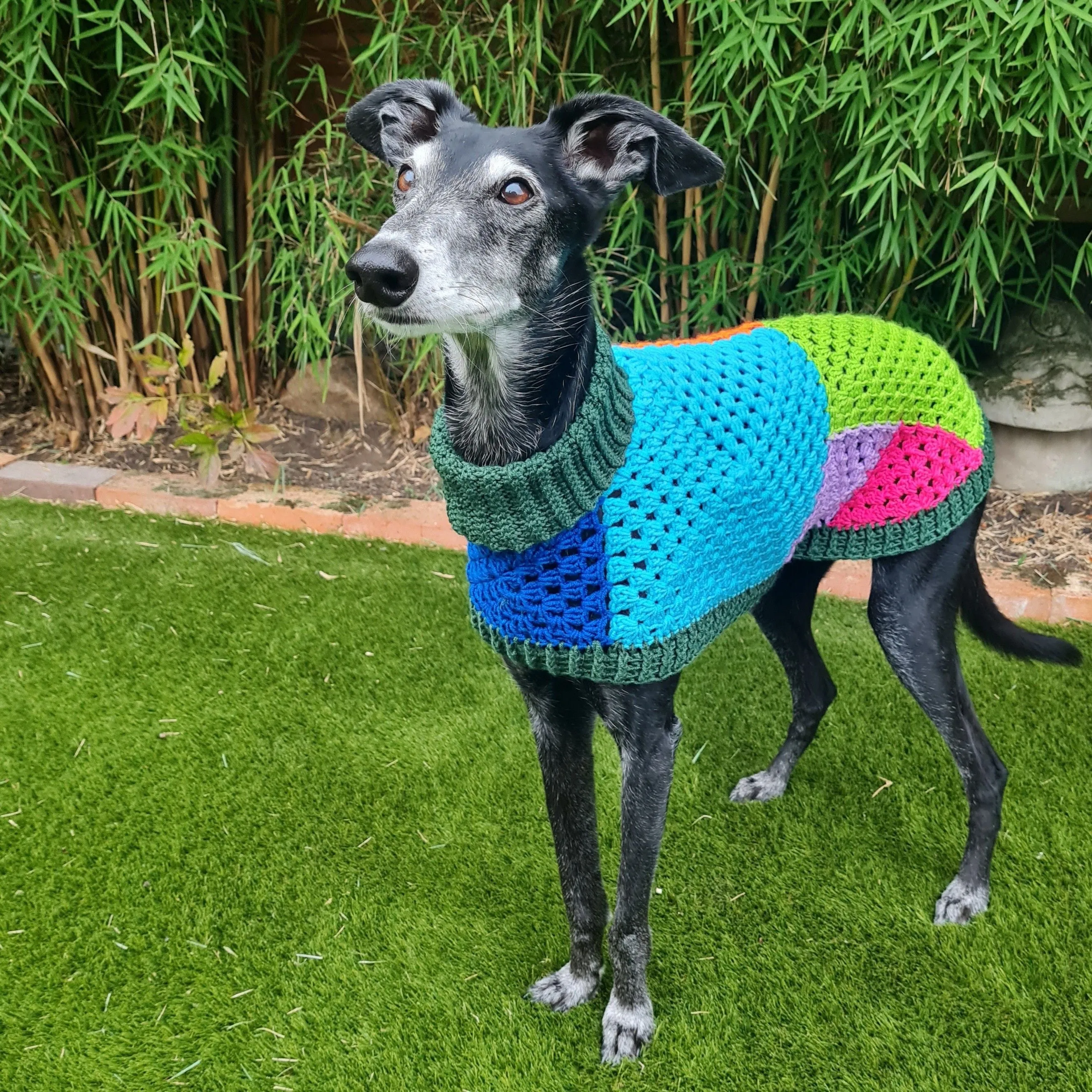 562-wally-dog-jumper-1.webp