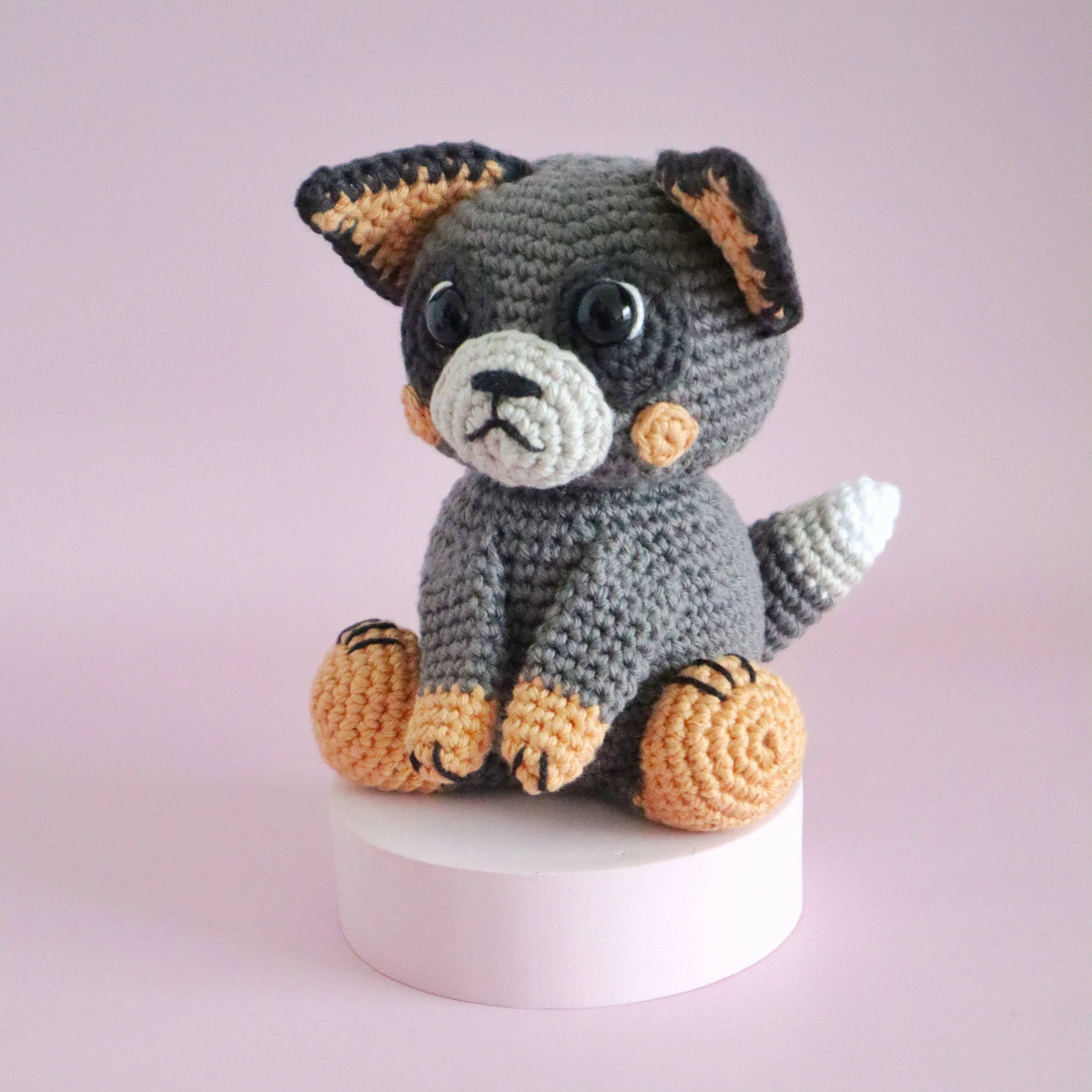 5640-buddy-the-blue-heeler-1.webp