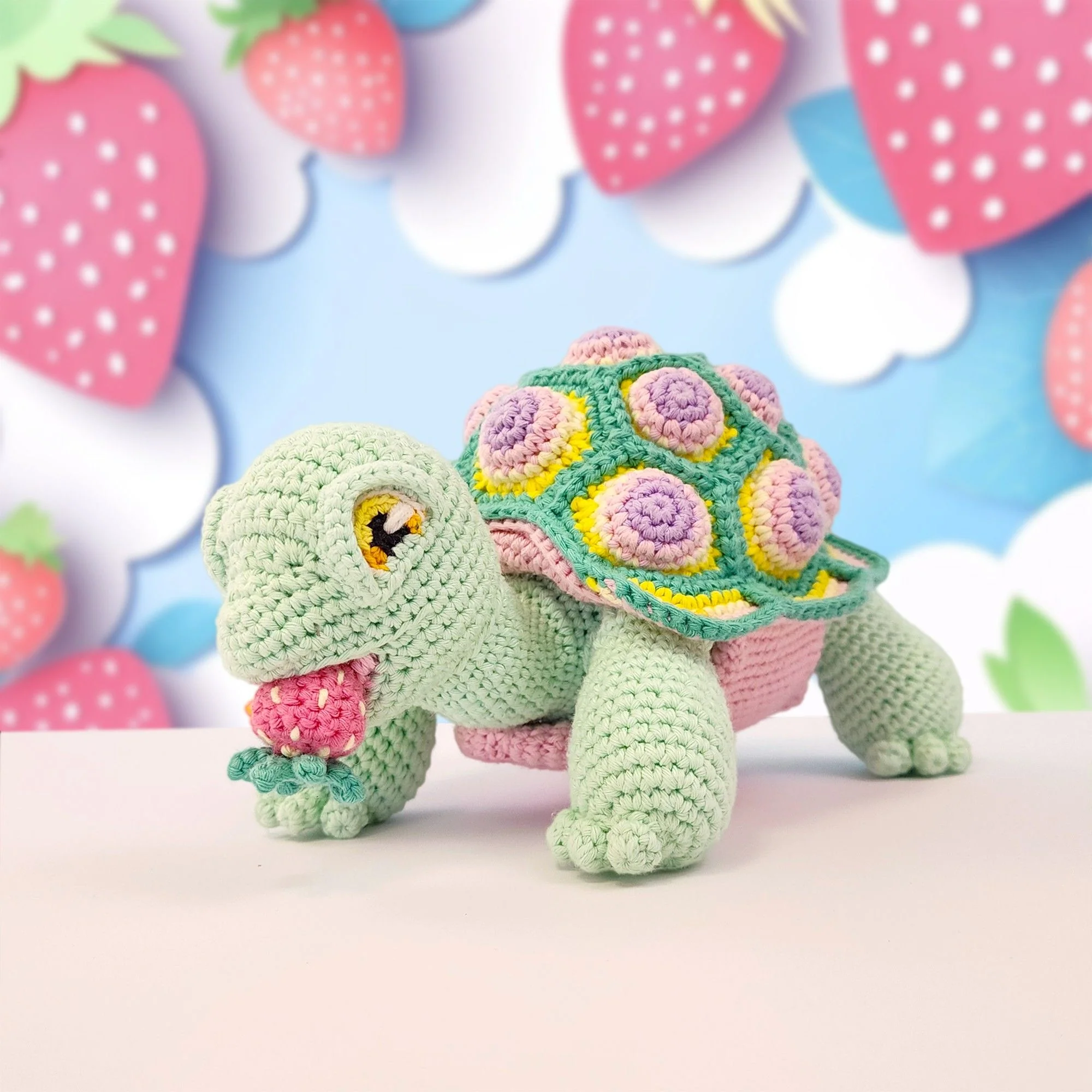 Astro the Tortoise